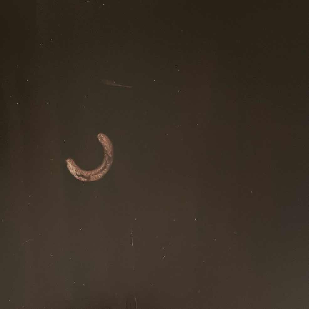 Photo 1 of VINNY 24 BOTTLE WOOD FINISH WINE RACK 31.5” X 16” H36”