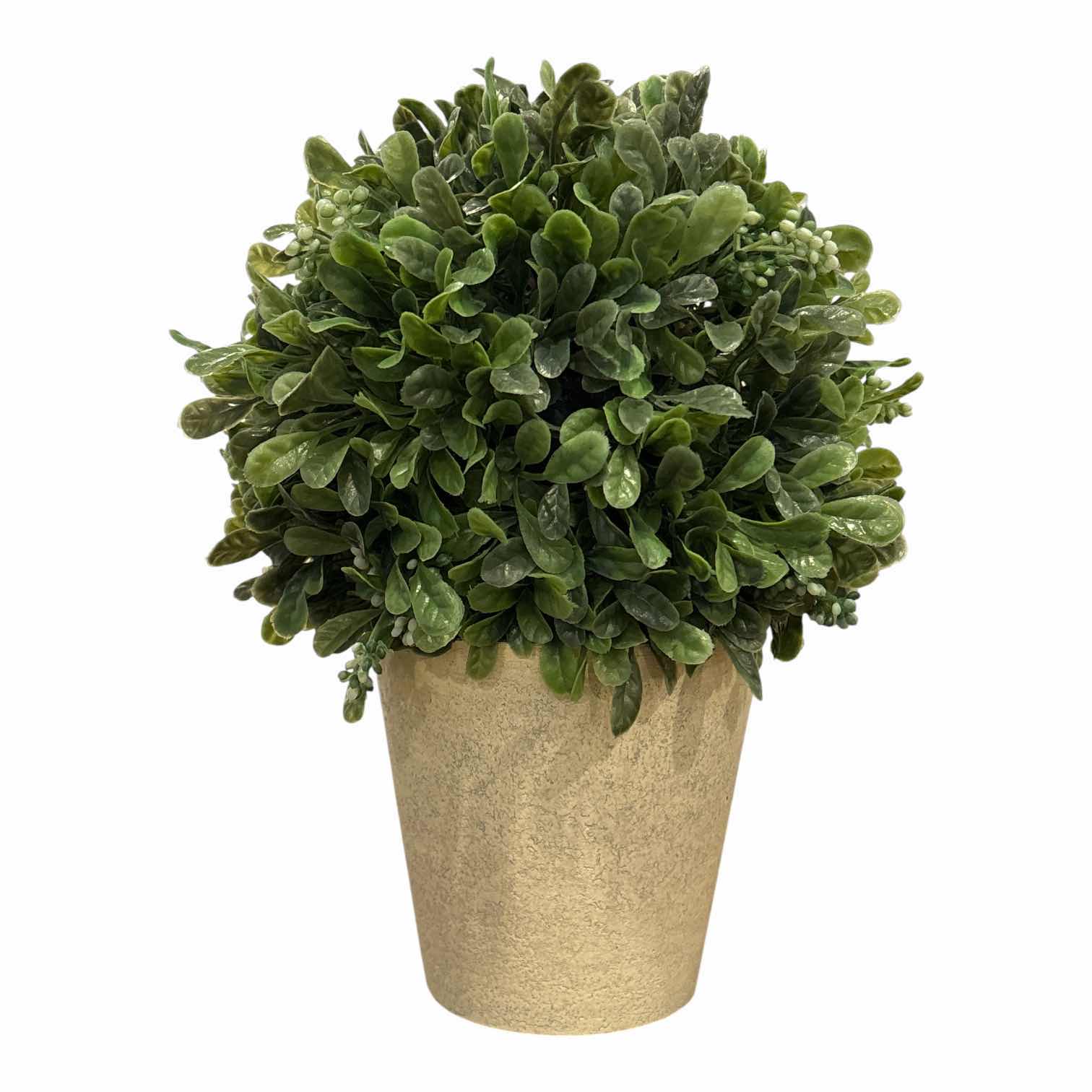 Photo 1 of DECORATIVE PLANTS W RESIN POTS (11” & 17”)