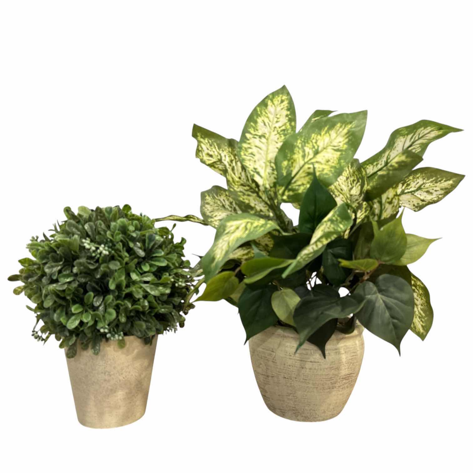 Photo 1 of DECORATIVE PLANTS W RESIN POTS (11” & 17”)