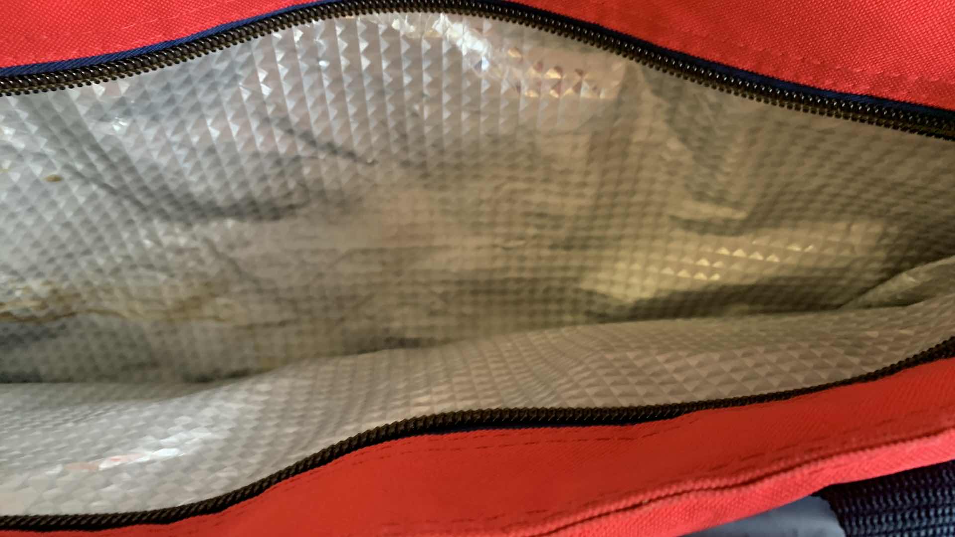 Photo 1 of 2 LARGE INSULATED BAGS