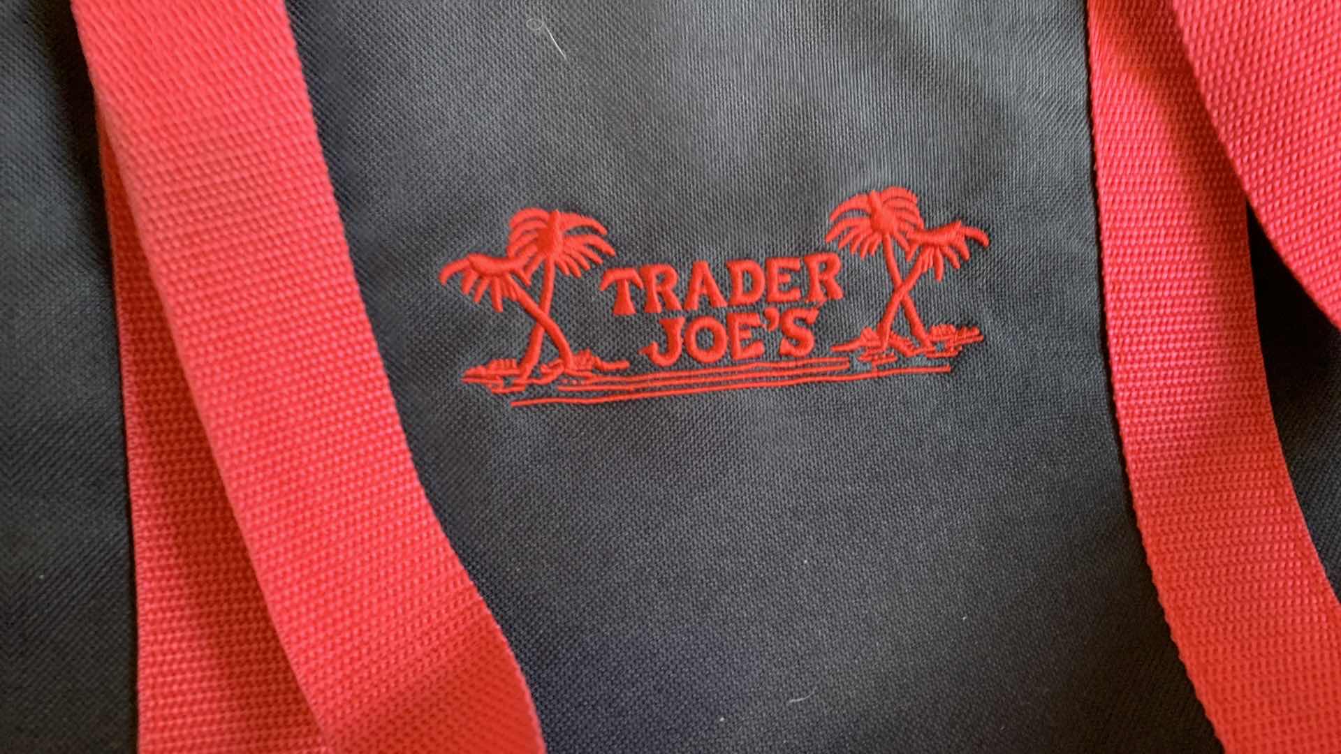 Photo 1 of 2 LARGE INSULATED BAGS