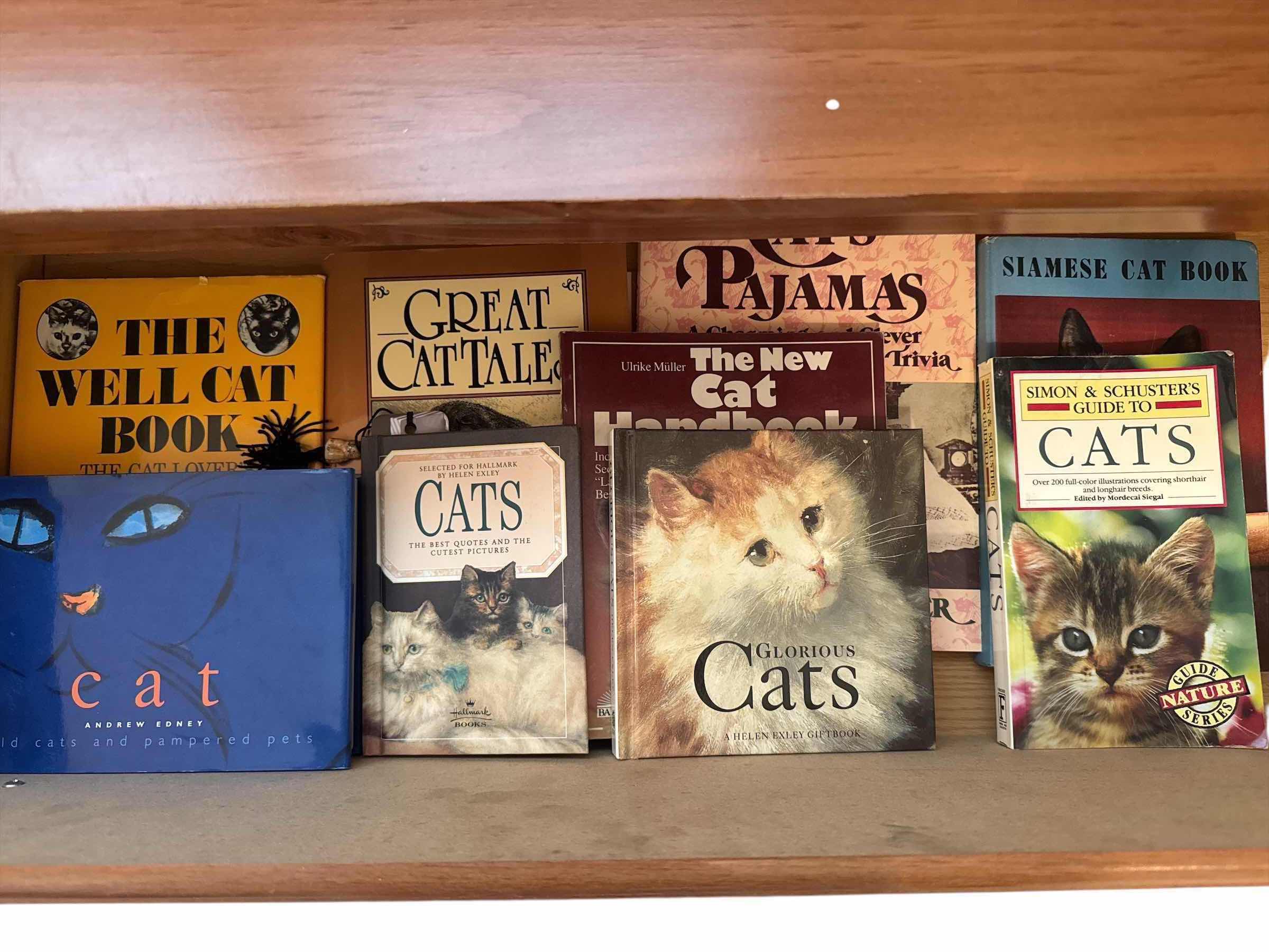 Photo 1 of VARIOUS BOOKS ON THE TOPIC OF CATS