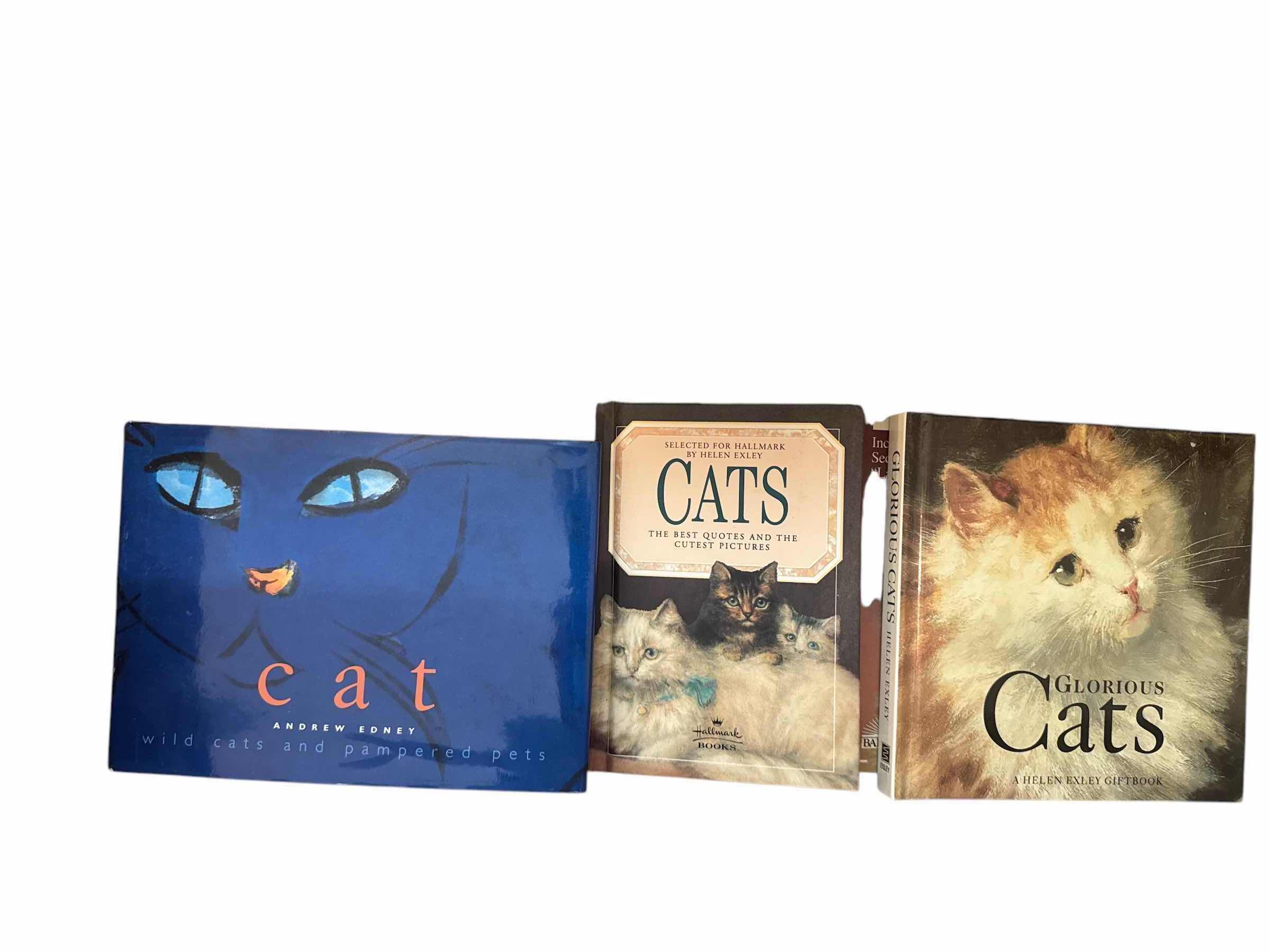 Photo 1 of VARIOUS BOOKS ON THE TOPIC OF CATS