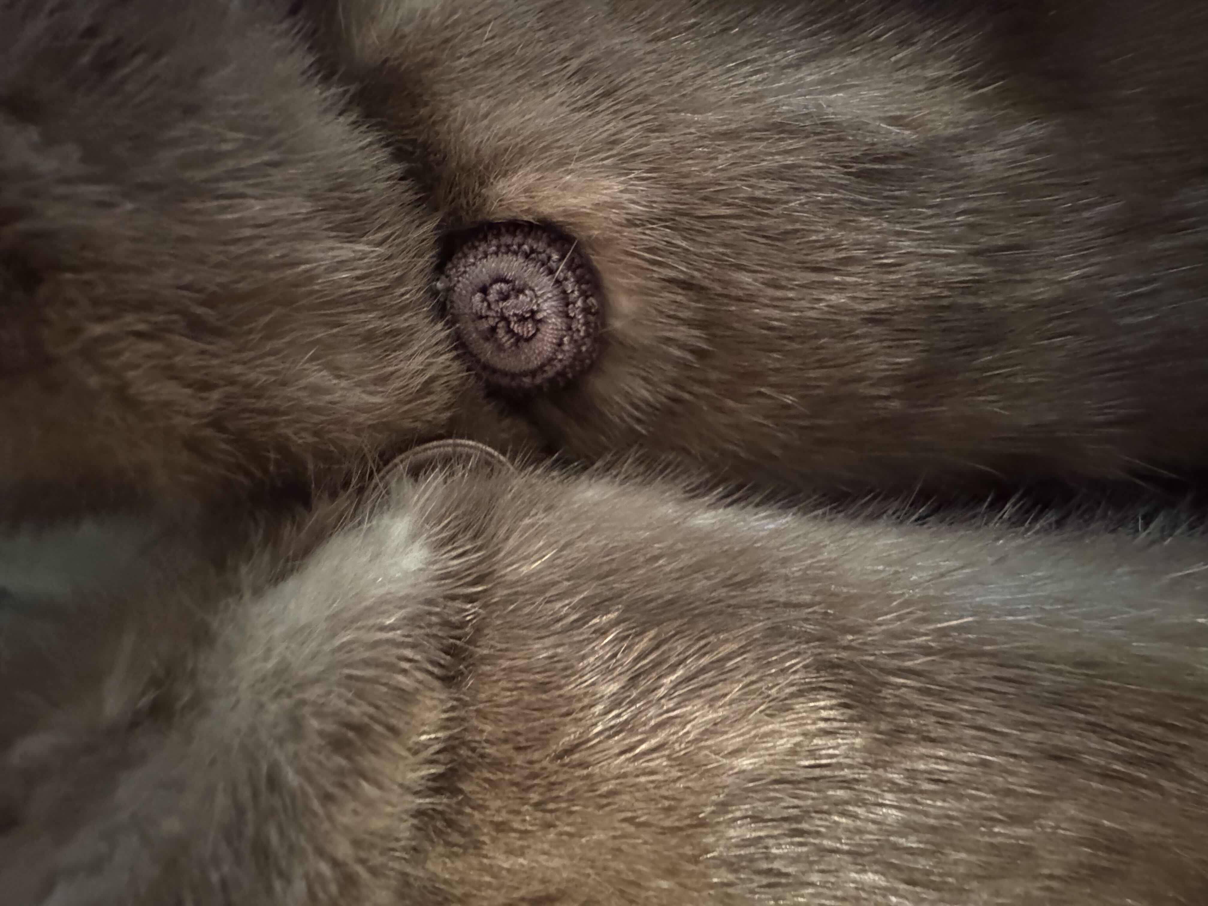 Photo 1 of VINTAGE SWITZER’S TAN FUR WRAP CAPE COVER, BROWN