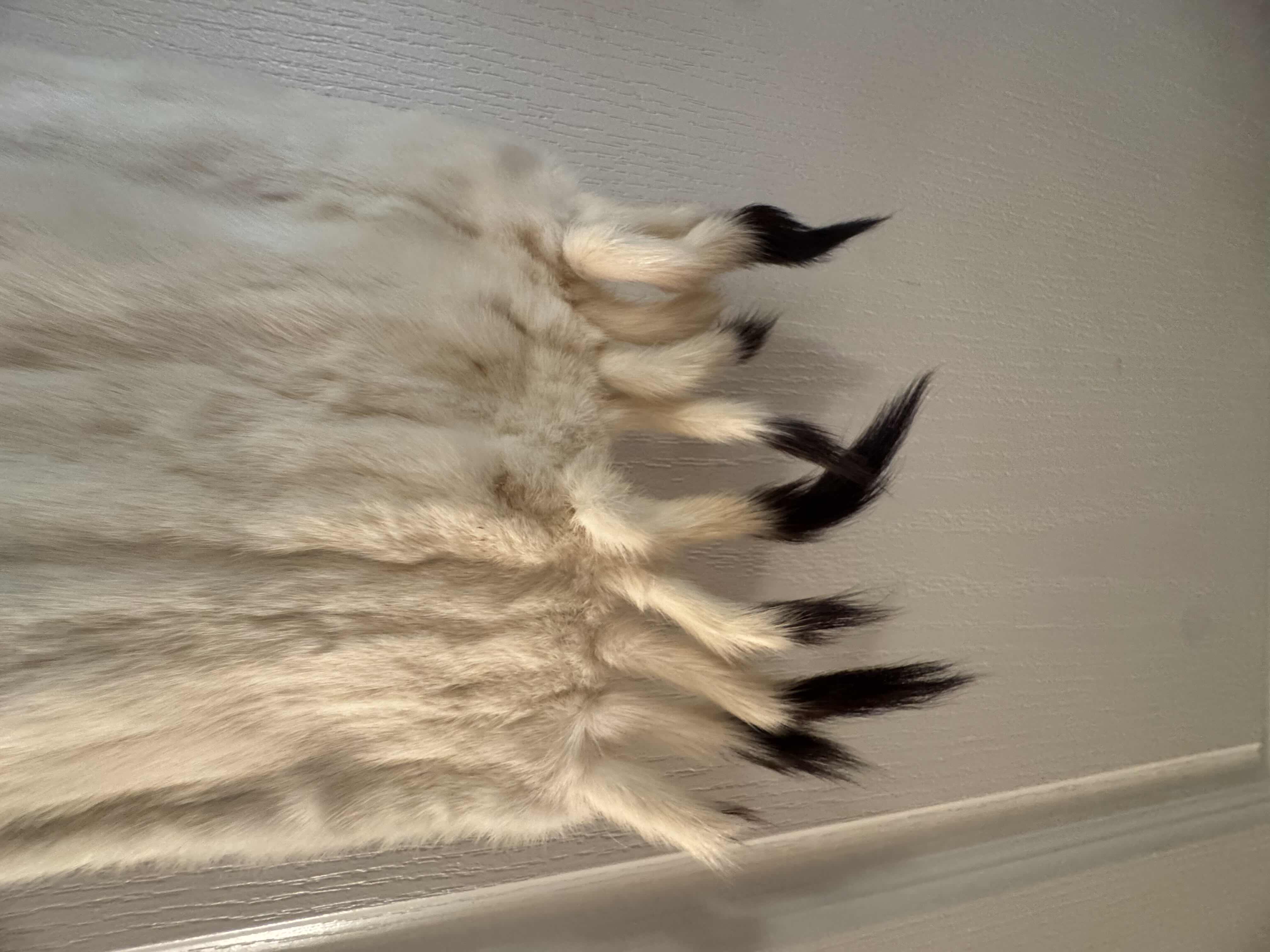 Photo 1 of VINTAGE SVEDBERGHS MINK FUR STOLL WRAP, CREAM/OFF WHITE