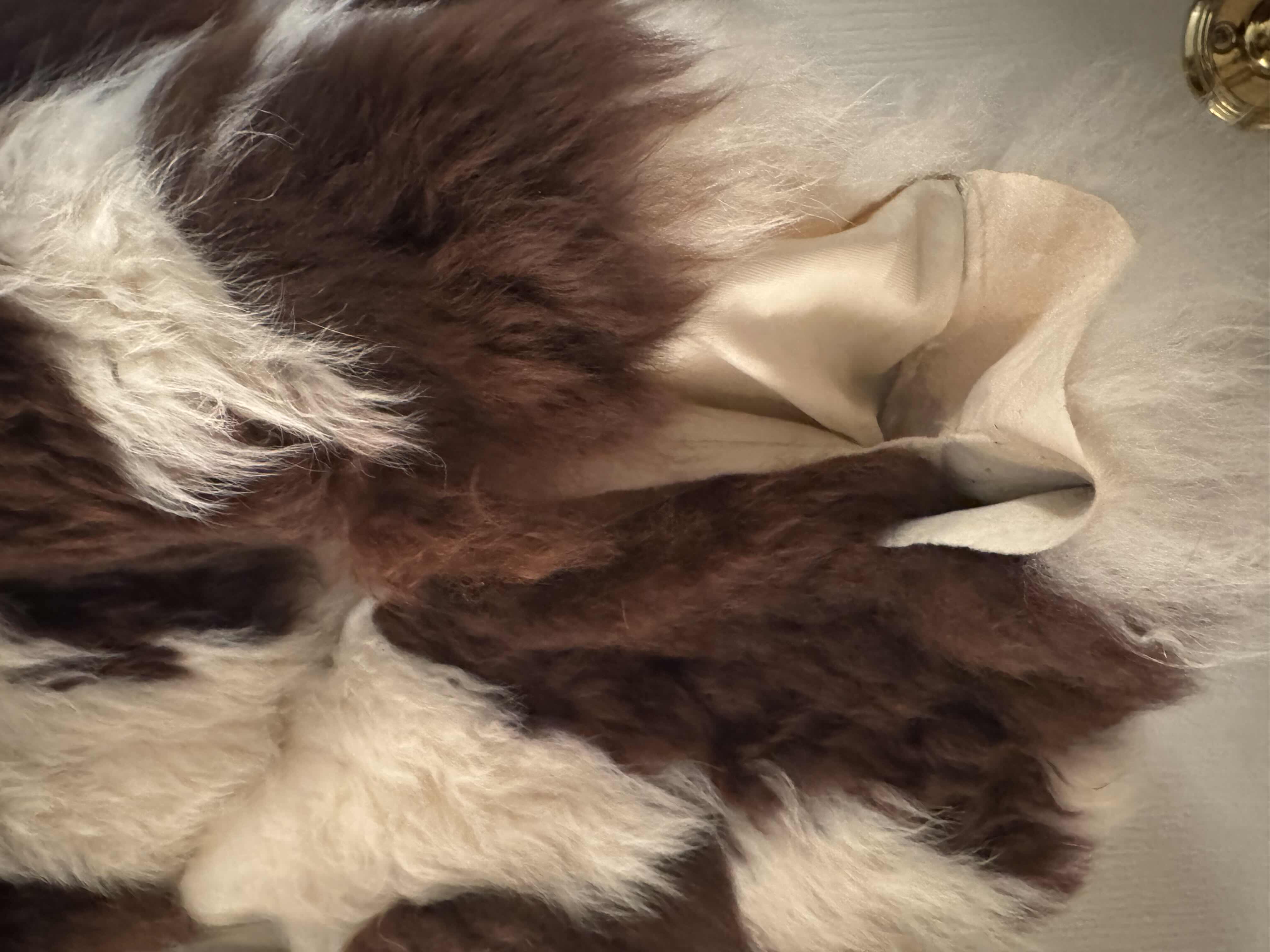 Photo 1 of VINTAGE FUR COAT, WOMEN’S CLOTHING, CREAM AND BROWN COW PRINT.
