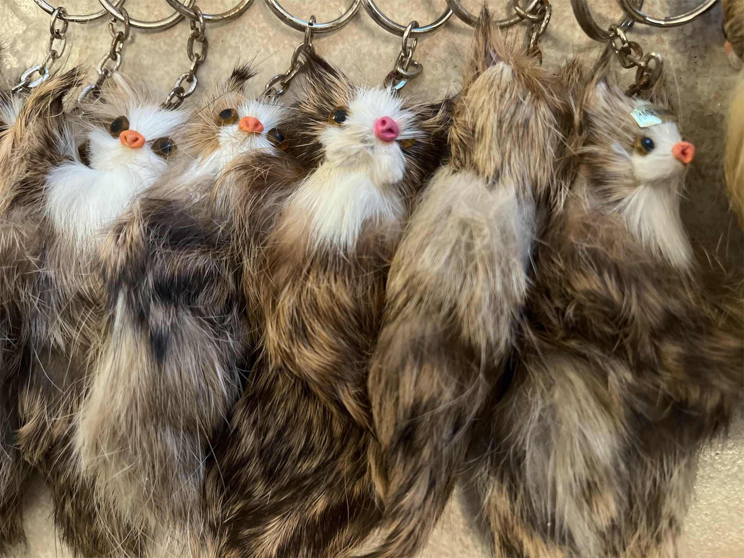 Photo 1 of HIGHCLASS FASHION AND ACCESSORIES RABBIT TAIL KEYCHAIN 9 PIECE