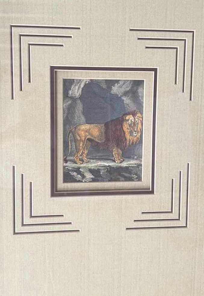 Photo 1 of WOOD FRAMED AFRICAN LION ART PRINT 21”X2”X25”H