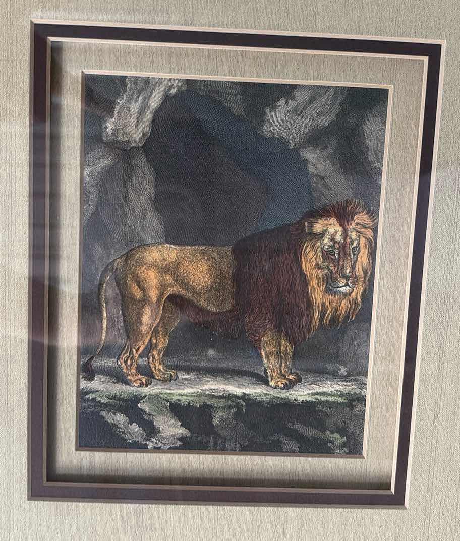 Photo 1 of WOOD FRAMED AFRICAN LION ART PRINT 21”X2”X25”H