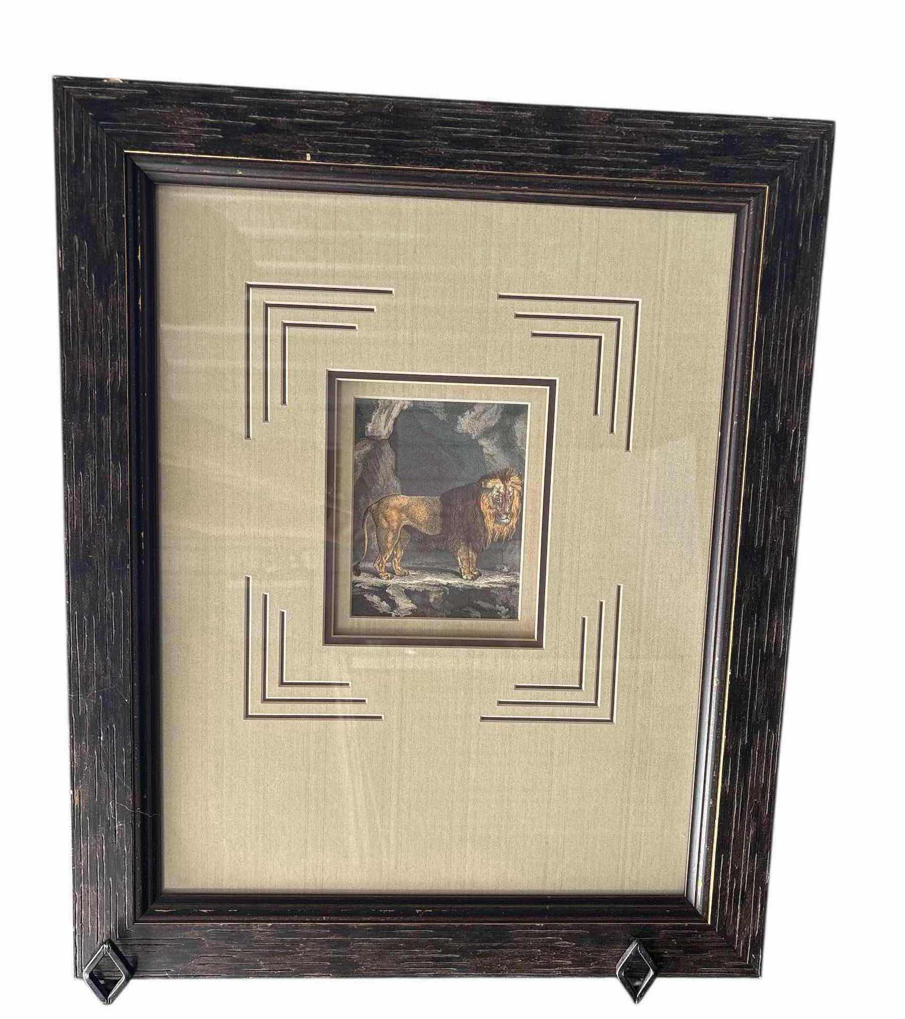 Photo 1 of WOOD FRAMED AFRICAN LION ART PRINT 21”X2”X25”H