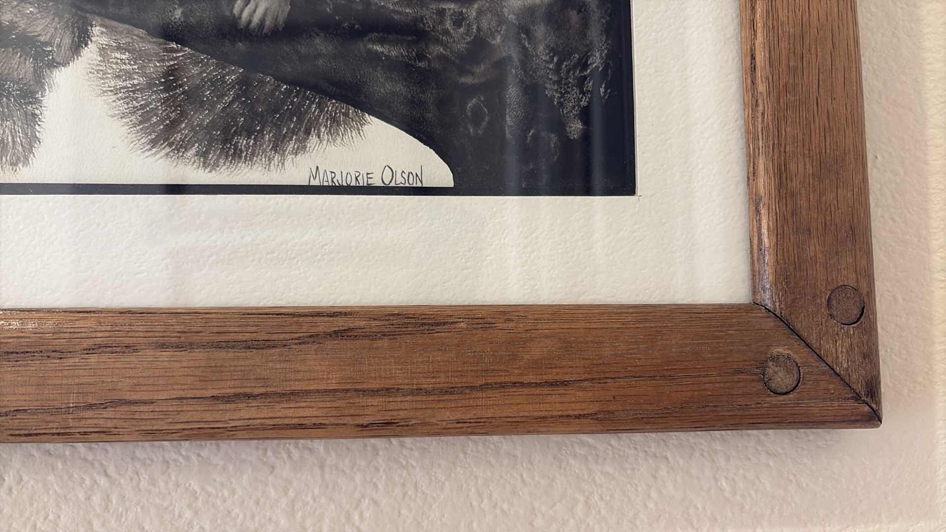 Photo 1 of FRAMED ARTWORK RACCOON MAJORIE OLSEN 12”X10”