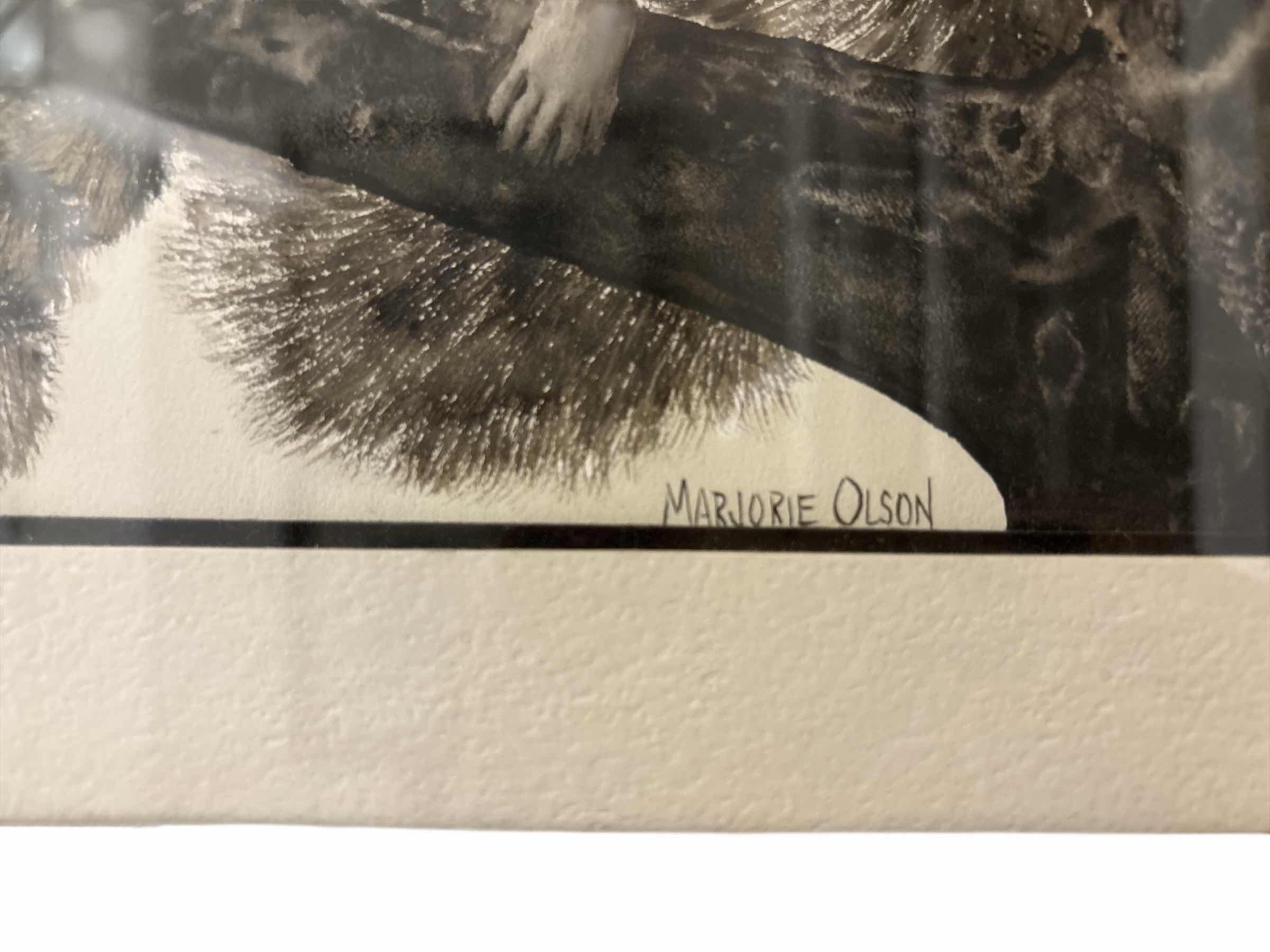 Photo 1 of FRAMED ARTWORK RACCOON MAJORIE OLSEN 12”X10”
