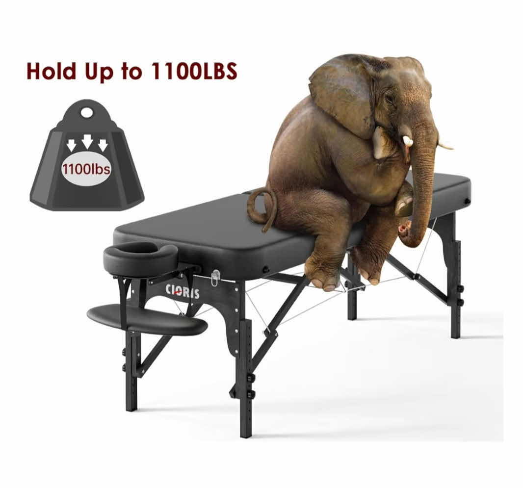 Photo 1 of CLORIS PROFESSIONAL MASSAGE TABLE 84”x28” H ADJUSTABLE (MEASUREMENT INCLUDED HEAD REST, INCLUDED LOWER TRAY & CARRY BAG)