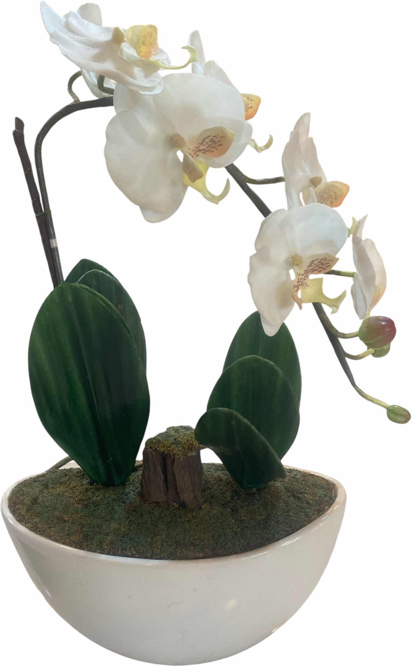 Photo 1 of MODERN ZGALLERIE ORCHID IN WHITE VASE 11” X 19”