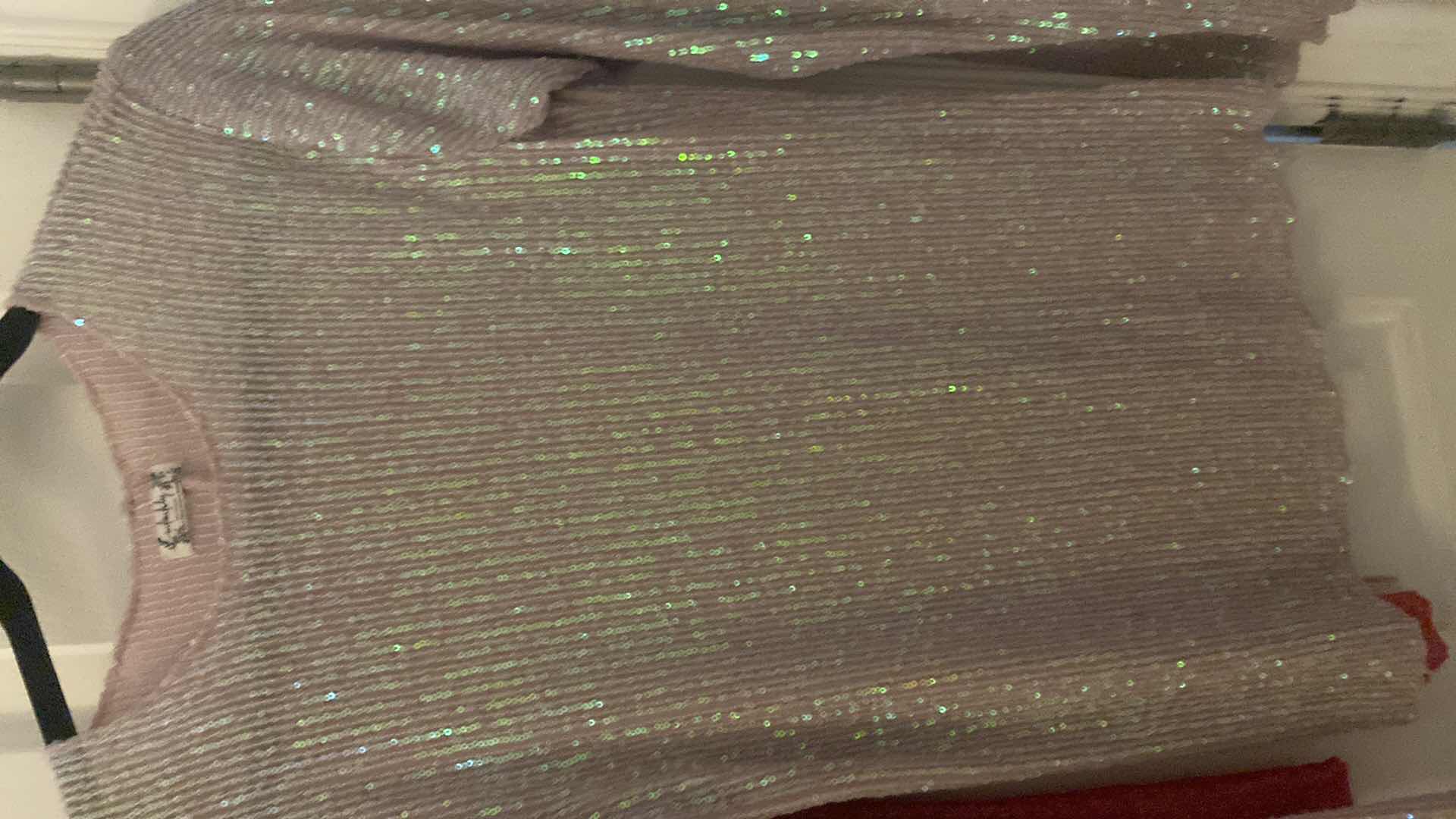 Photo 1 of 2 - WOMENS FREE PEOPLE PINK SEQUIN TOPS SIZE MEDIUM