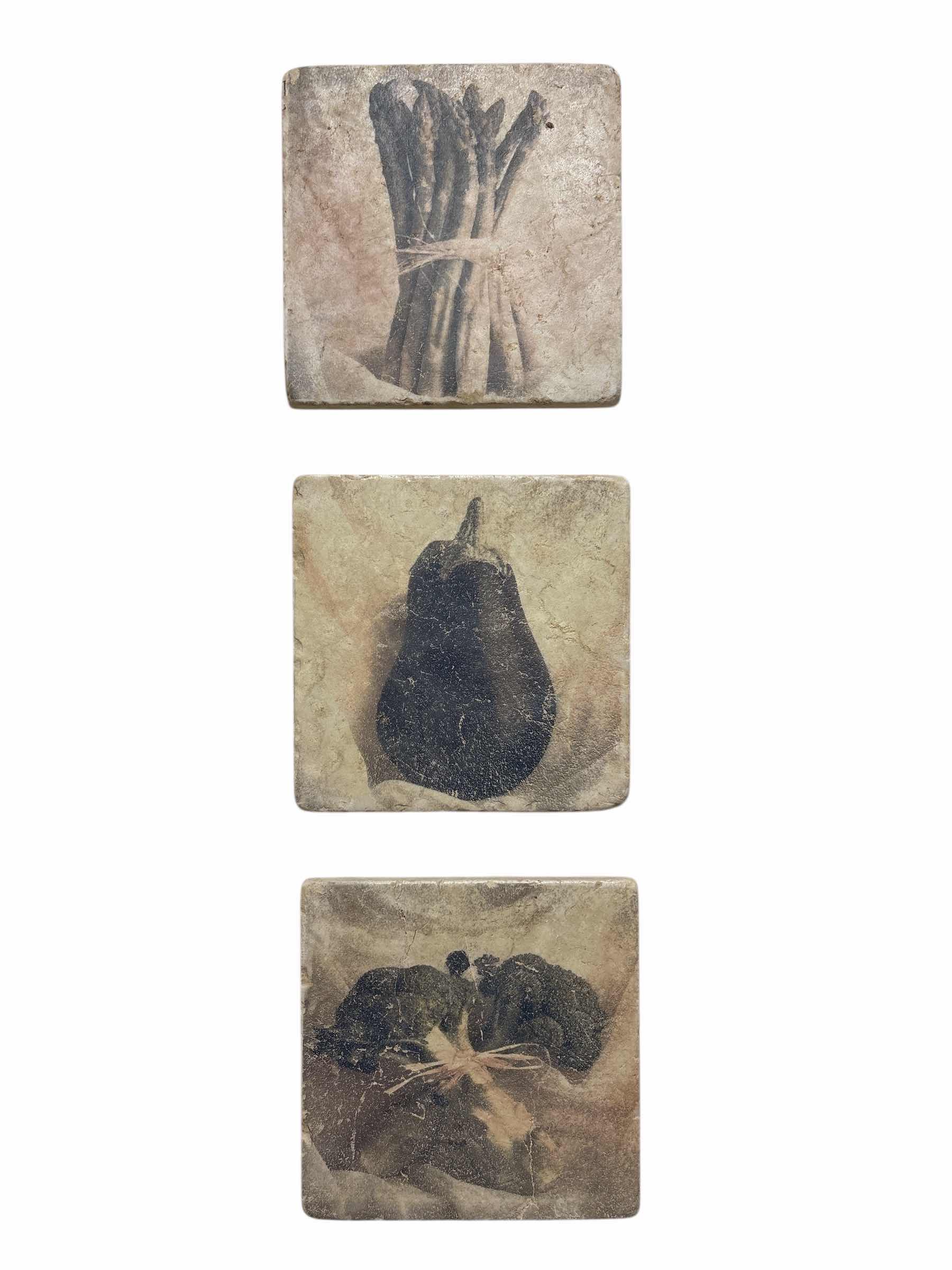 Photo 1 of STUDIO VERTU VEGETABLE ART STONE TILES (3) 8” X 8”