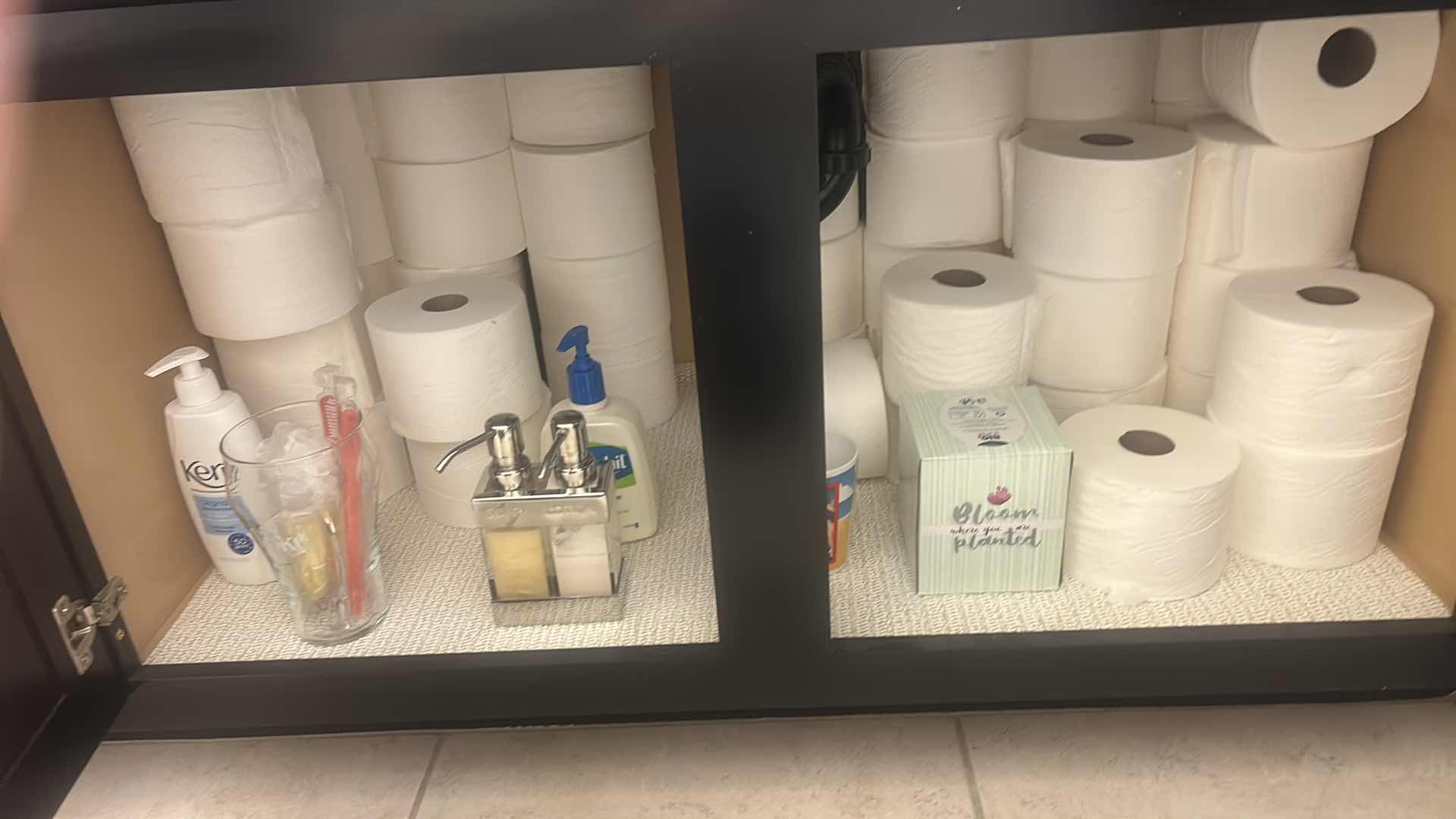 View 2 of CONTENTS UNDER SINK - TOILET PAPER & MORE