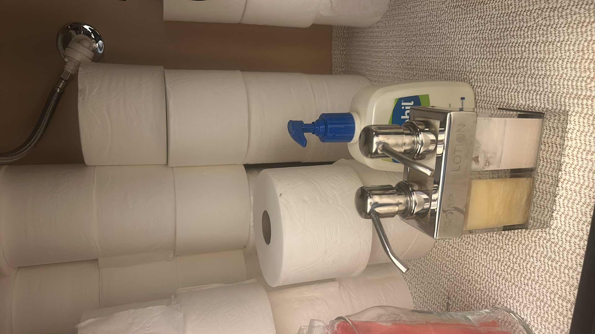 View 5 of CONTENTS UNDER SINK - TOILET PAPER & MORE