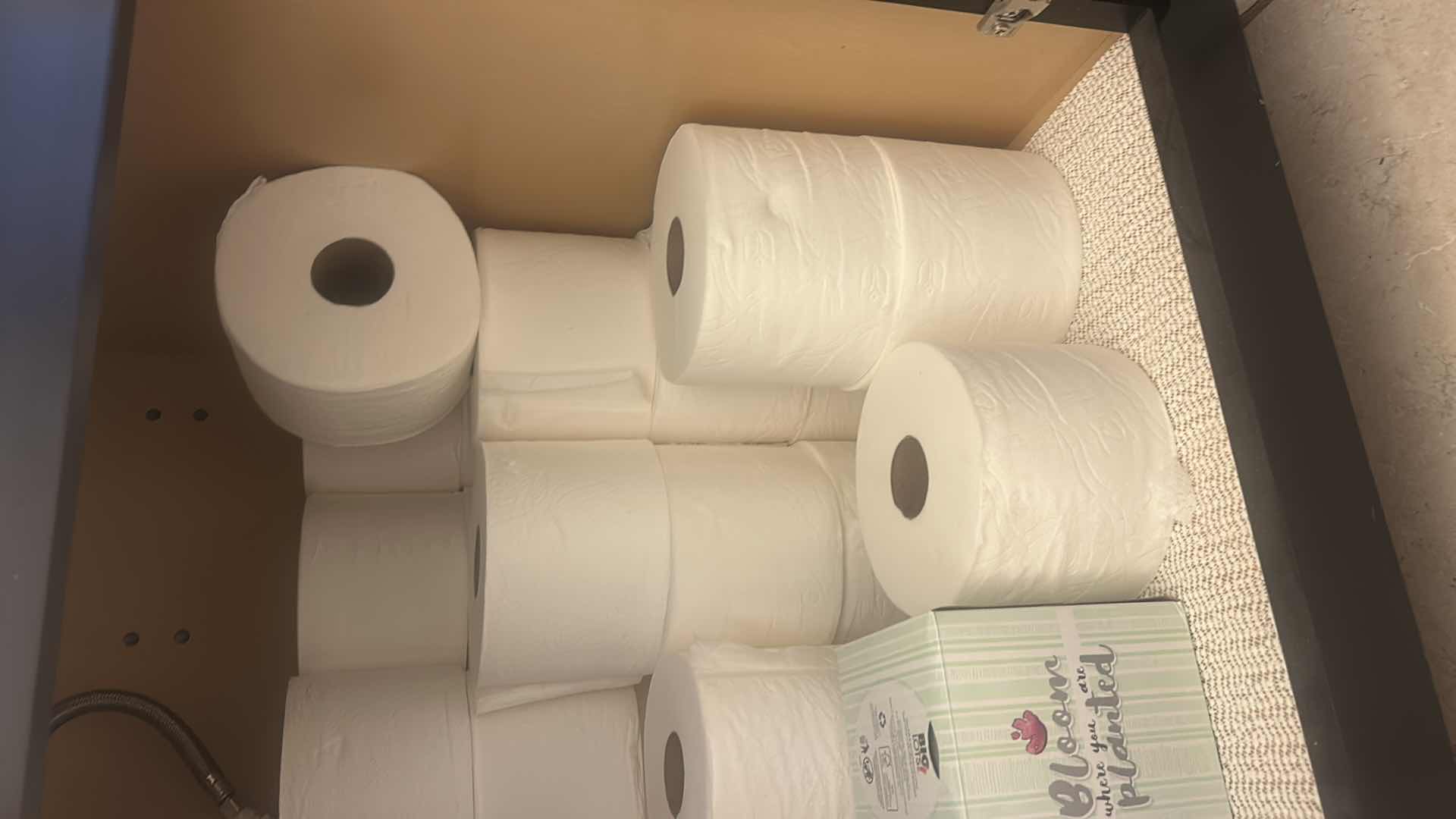 View 3 of CONTENTS UNDER SINK - TOILET PAPER & MORE