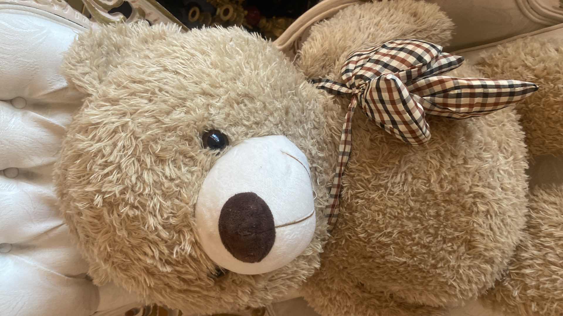 Photo 1 of LARGE TEDDY BEAR 36”