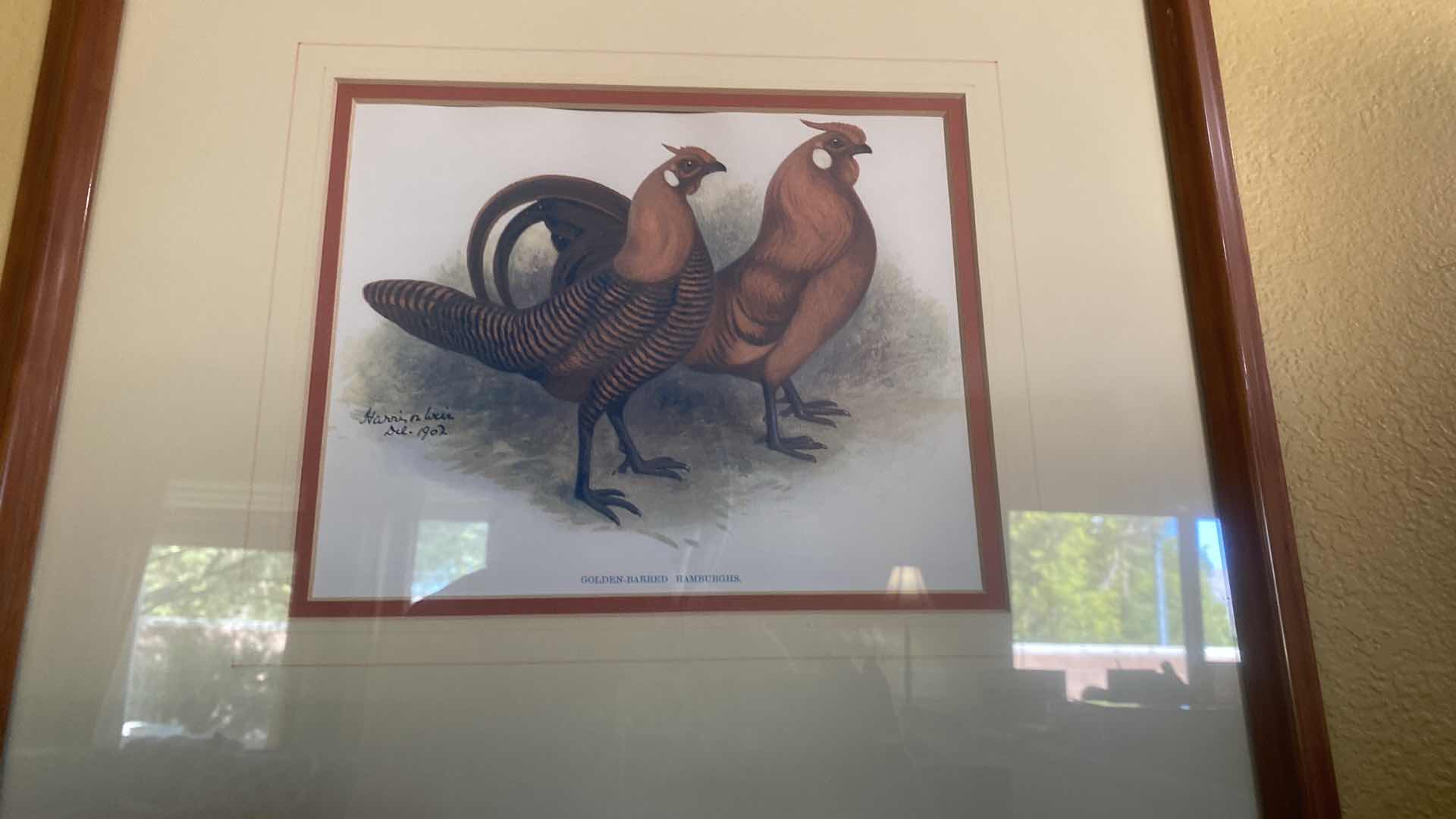 Photo 1 of PAIR OF FRAMED CHICKEN ARTWORK LARGEST 15 1/2” x 17 1/2”