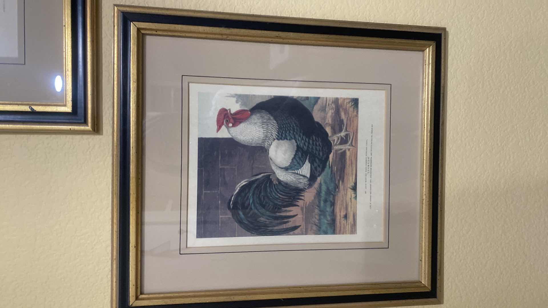 Photo 1 of 3 FRAMED CHICKEN PRINTS ARTWORK 14” x 15 1/2” & HANGING CHICKEN WITH HOOKS