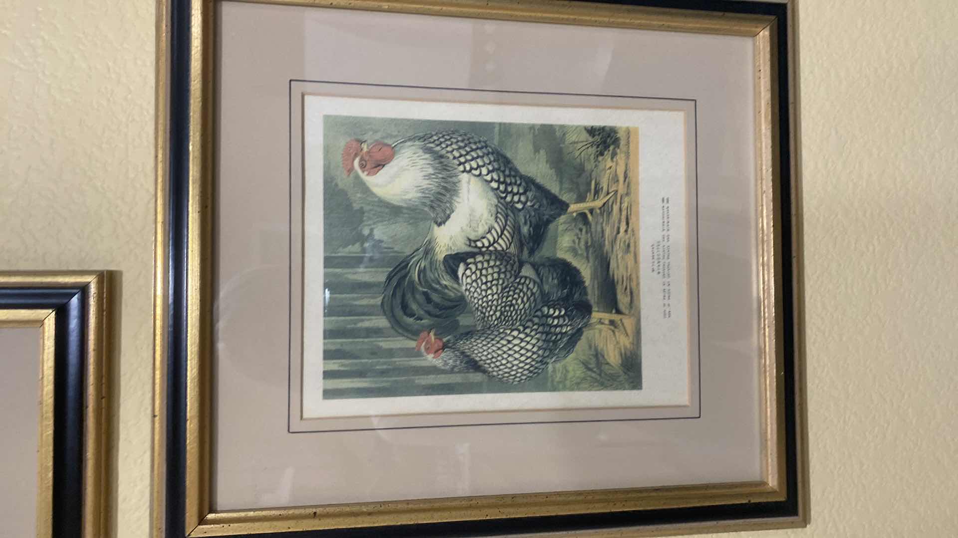 Photo 1 of 3 FRAMED CHICKEN PRINTS ARTWORK 14” x 15 1/2” & HANGING CHICKEN WITH HOOKS