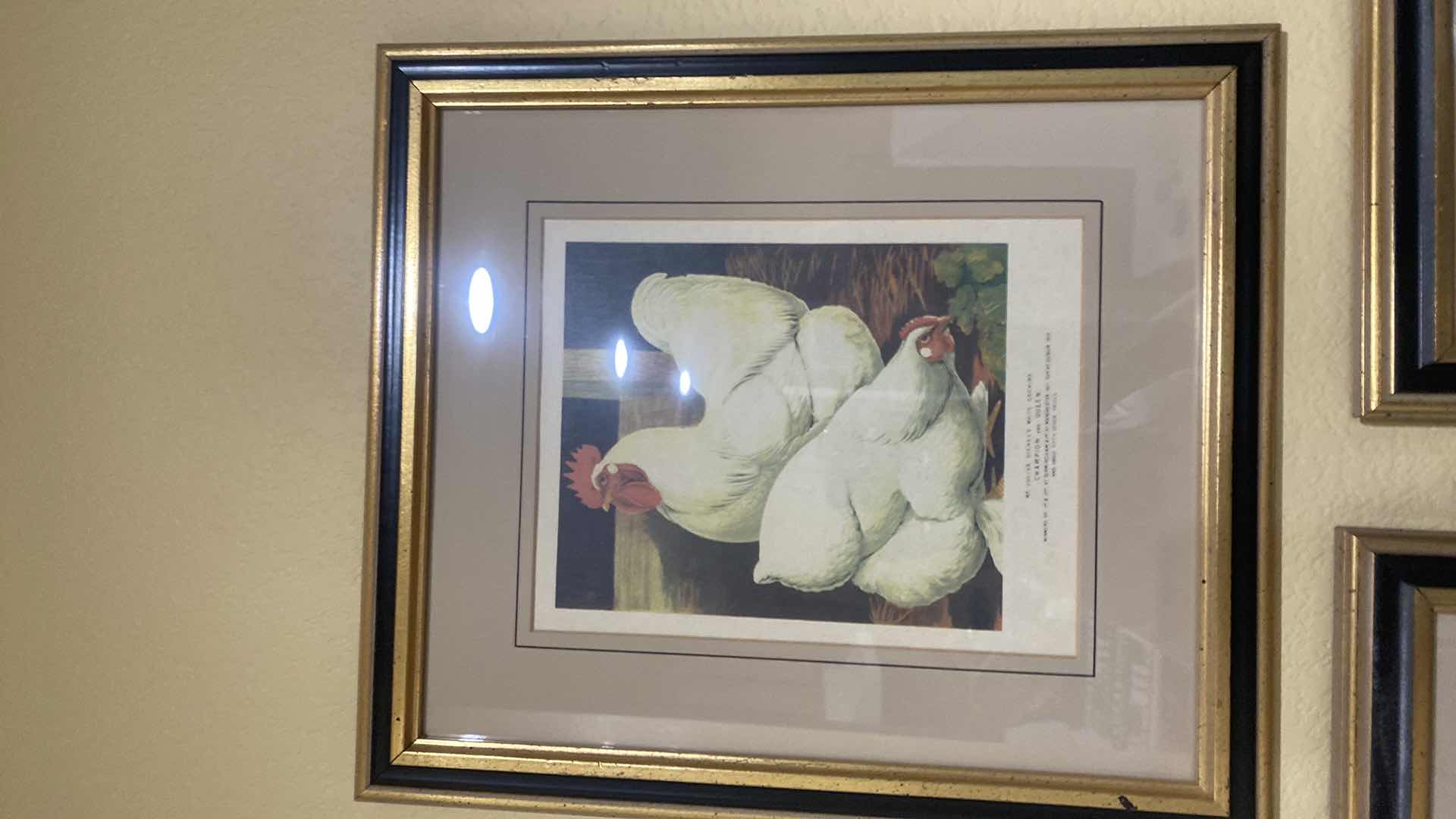 Photo 1 of 3 FRAMED CHICKEN PRINTS ARTWORK 14” x 15 1/2” & HANGING CHICKEN WITH HOOKS