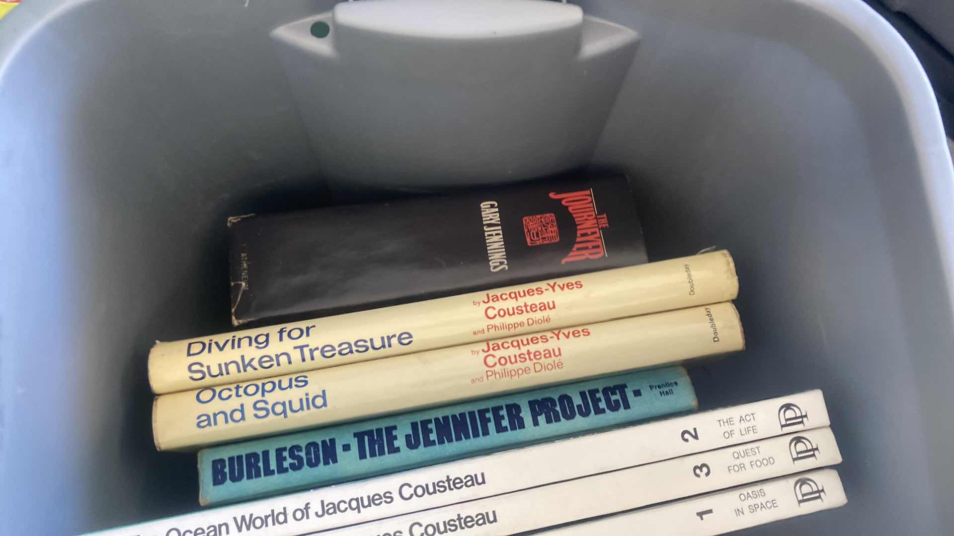 Photo 1 of TOTE OF BOOKS