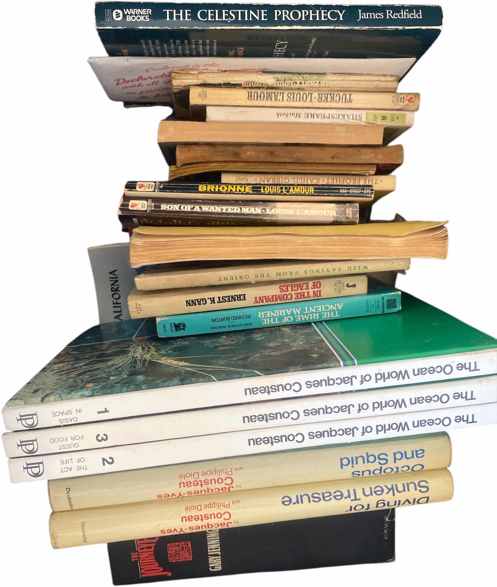 Photo 1 of TOTE OF BOOKS