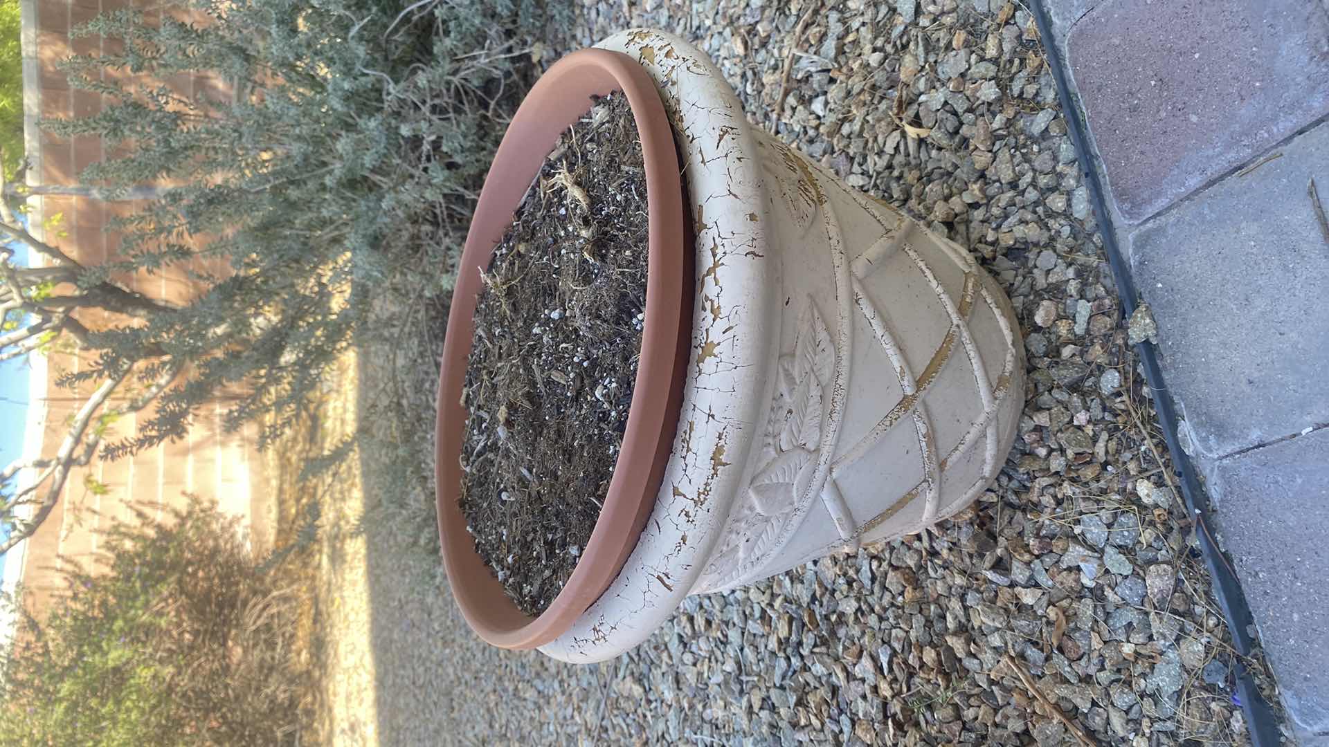 Photo 1 of 2 PLASTIC POTS & 1 CLAY POT LARGEST 15” x 14”