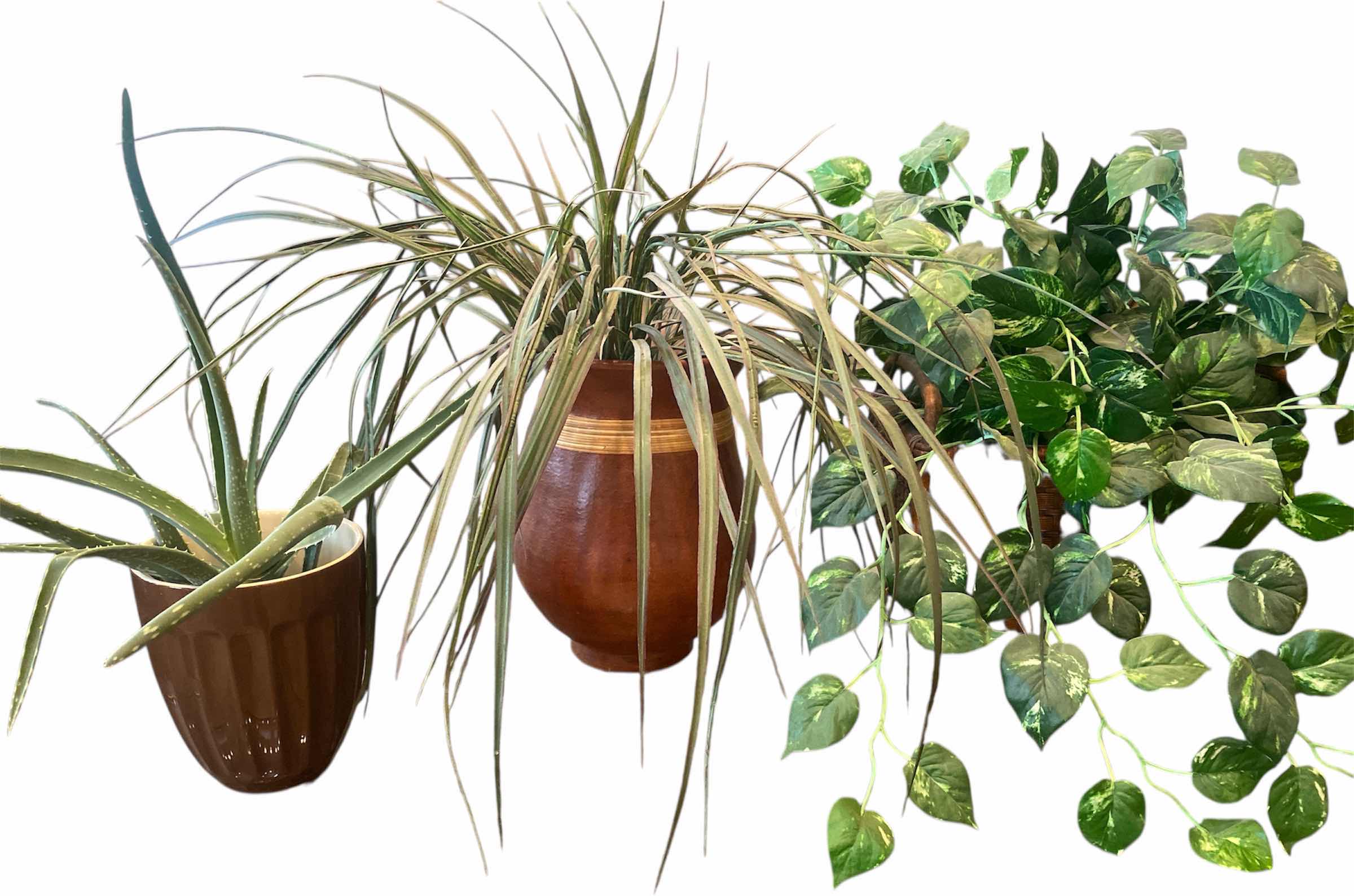 Photo 1 of 3-FAUX PLANTS LARGEST H22”