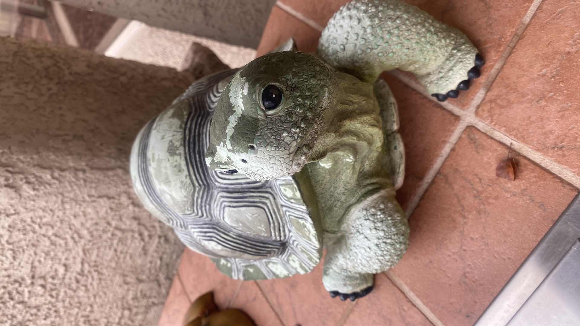 Photo 1 of RESIN CAST TURTLE YARD ART 15” x 9”