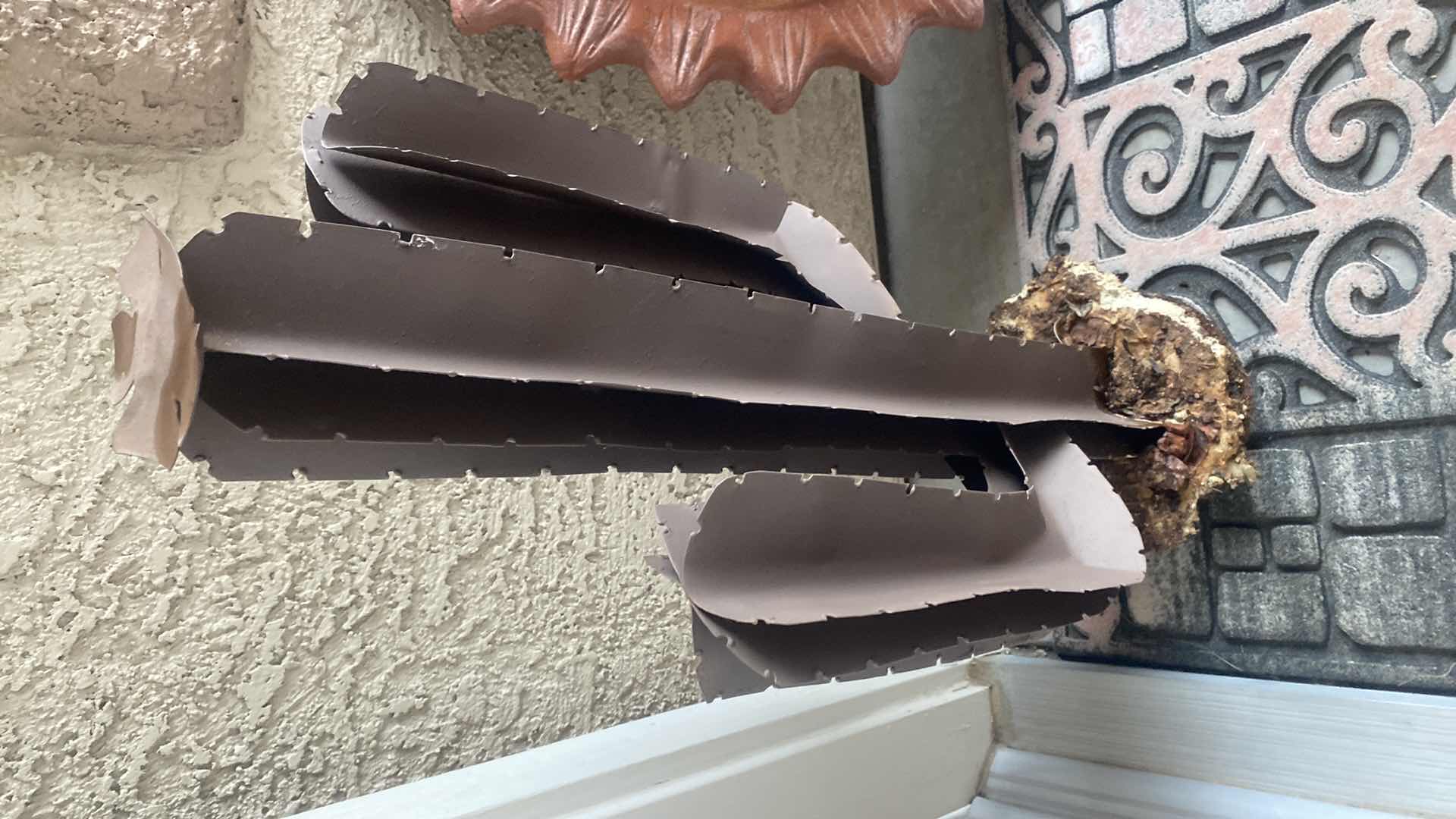 Photo 1 of METAL CACTUS YARD ART H27”