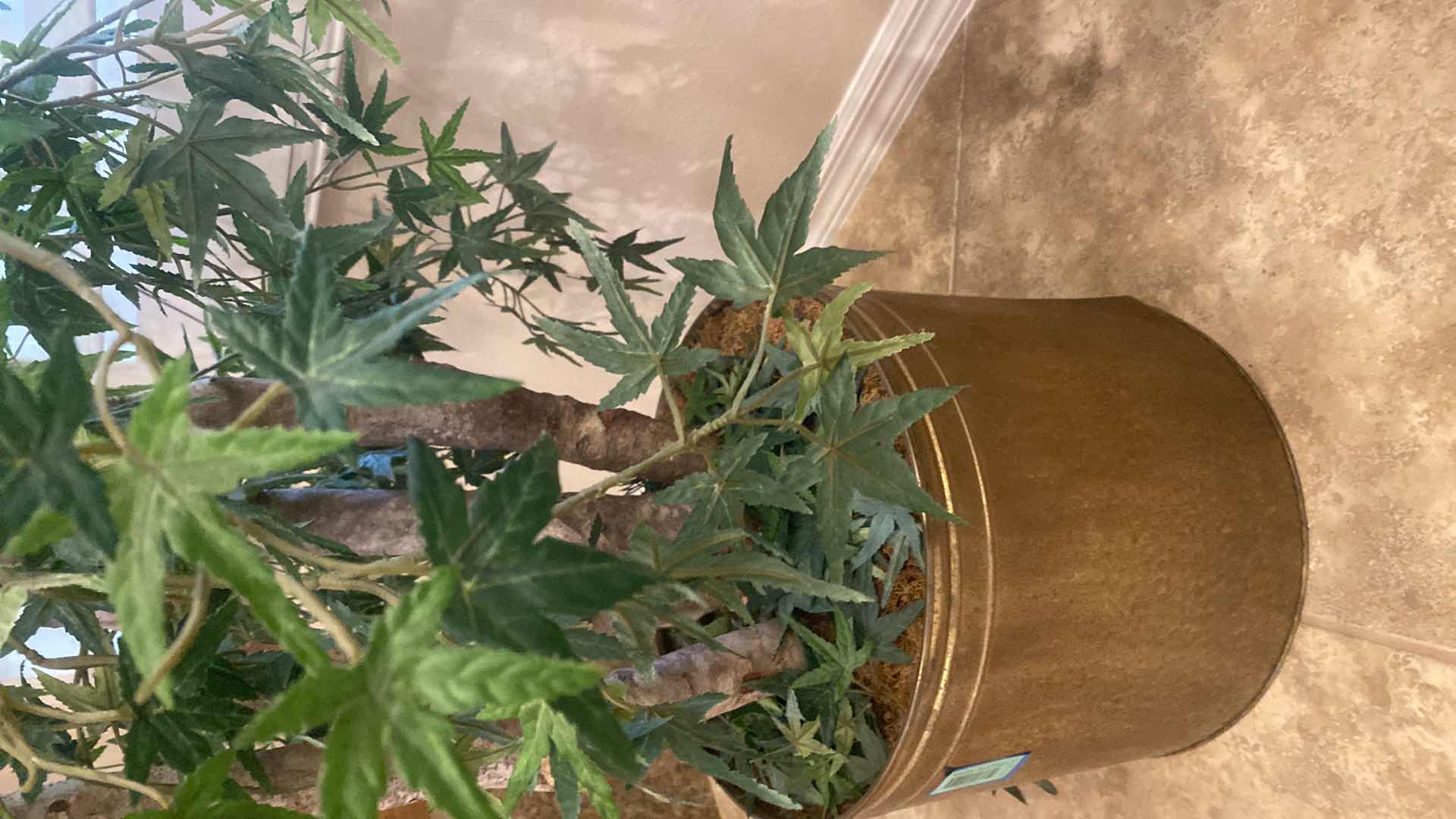 Photo 1 of FAUX TREE IN METAL POT 7’