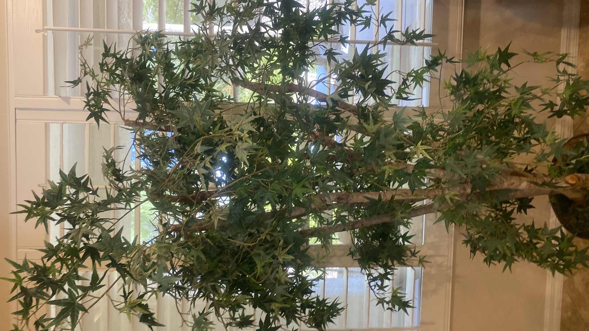 Photo 1 of FAUX TREE IN METAL POT 7’