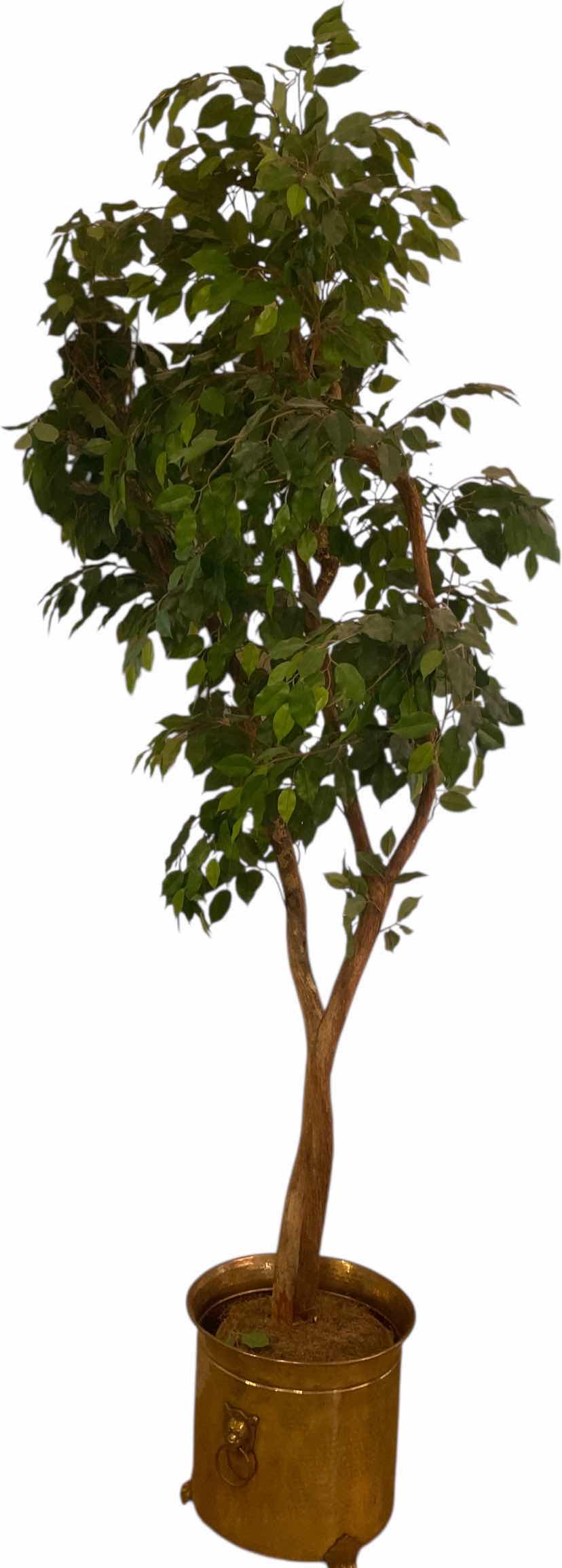 Photo 1 of FAUX FICUS TREE IN HAMMERED METAL POT 8’