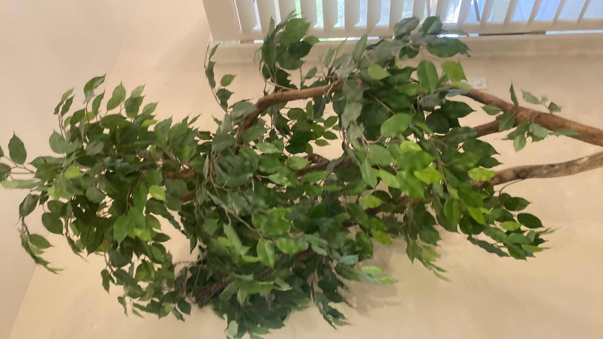 Photo 1 of FAUX FICUS TREE IN HAMMERED METAL POT 8’