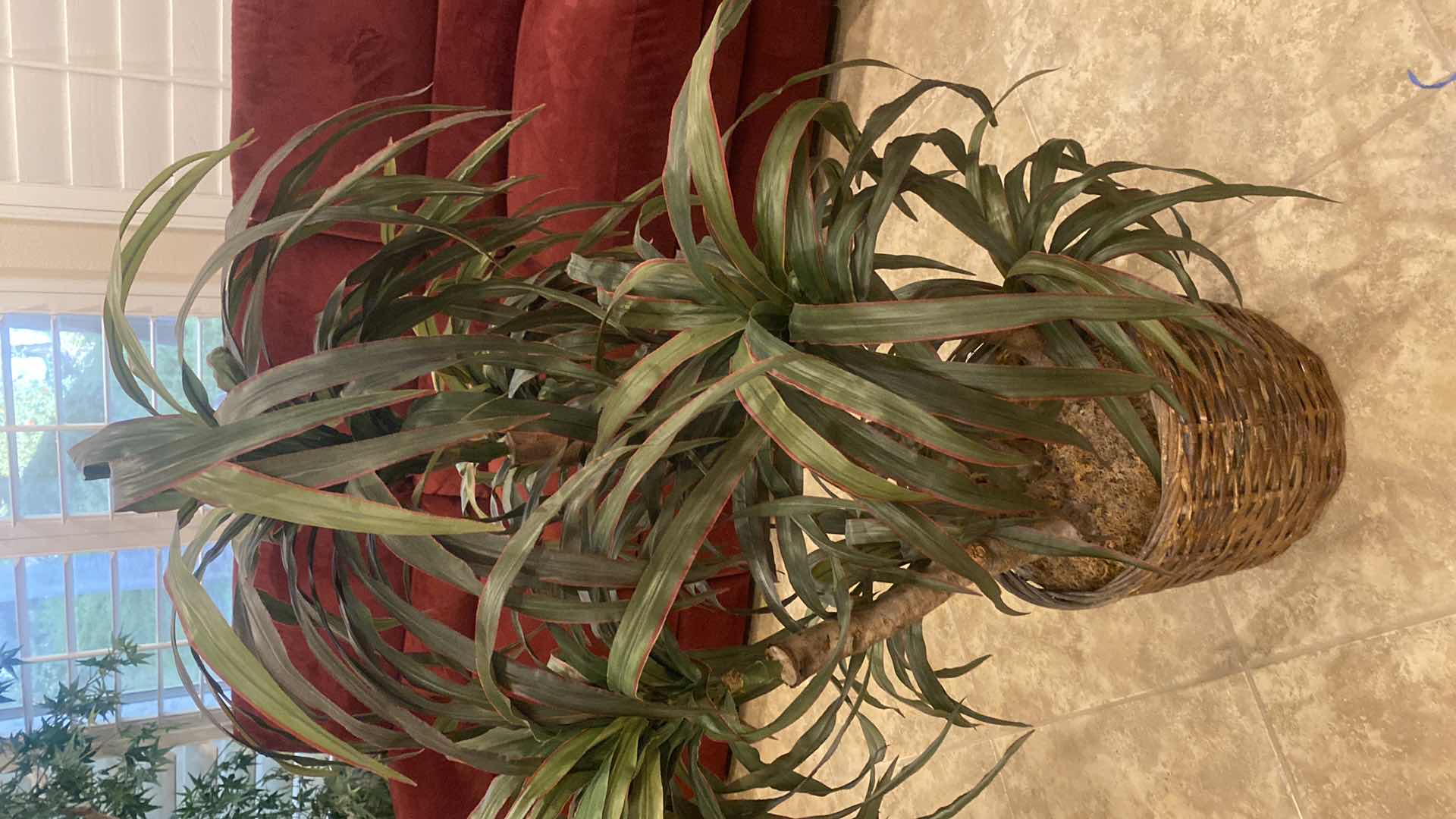 Photo 1 of FAUX TREE H50”