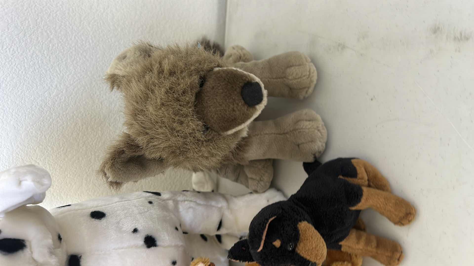 Photo 1 of STUFFED ANIMALS