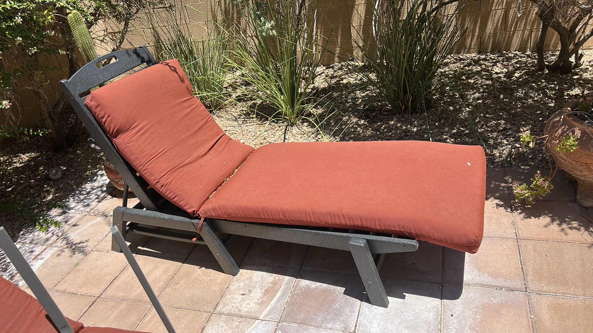 Photo 1 of OUTDOOR RECLINER WITH CUSHION