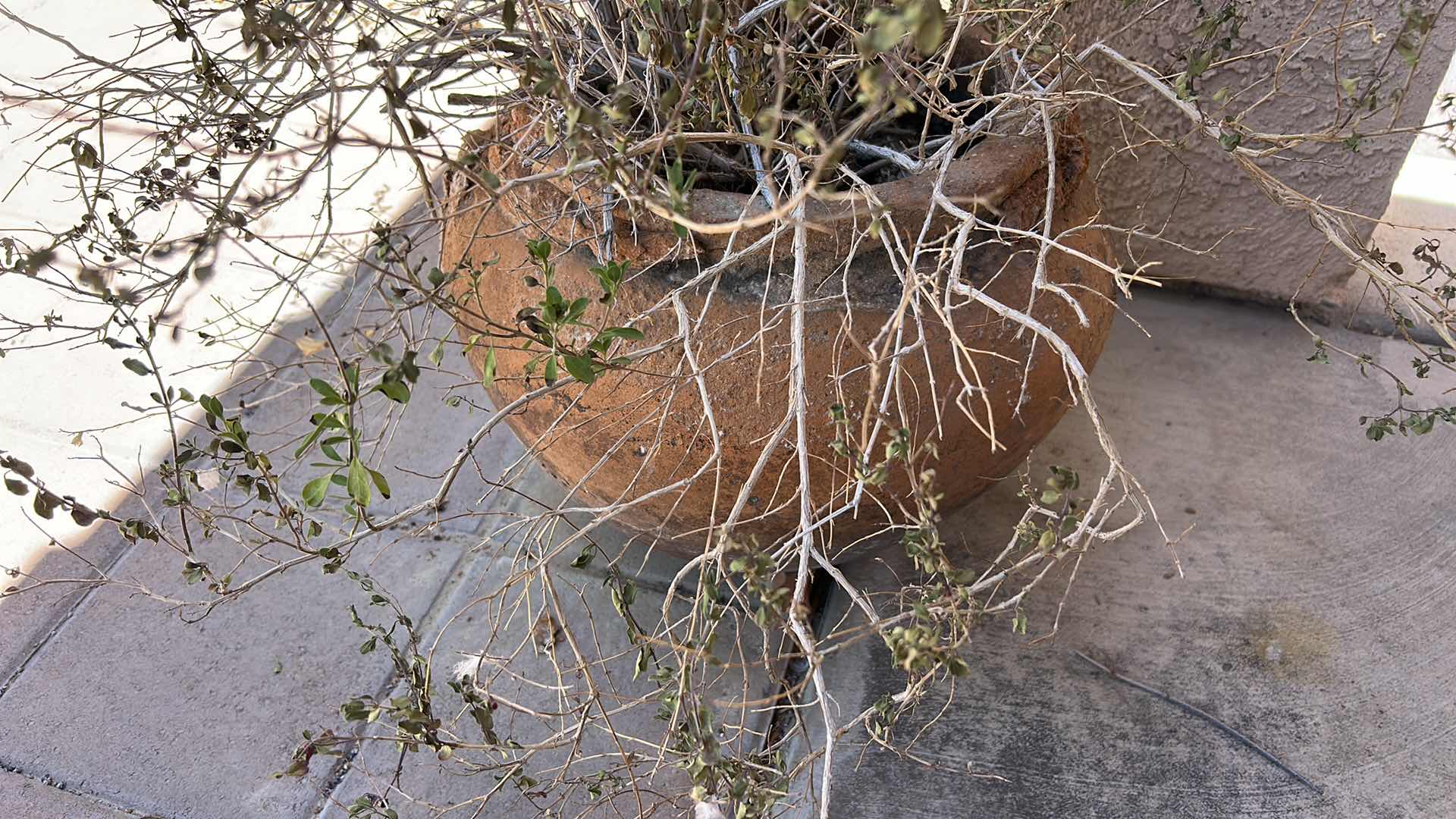Photo 1 of VERY HEAVY TERA COTTA POT H17.5”