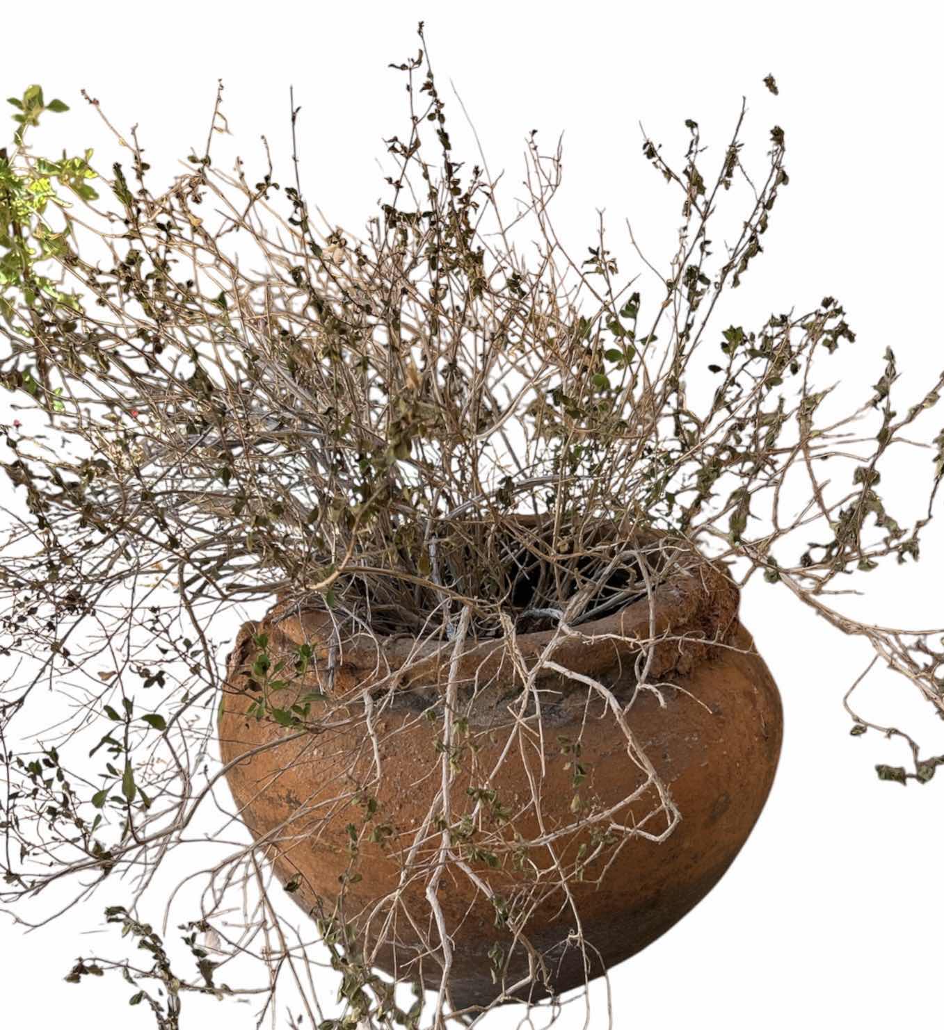 Photo 1 of VERY HEAVY TERA COTTA POT H17.5”