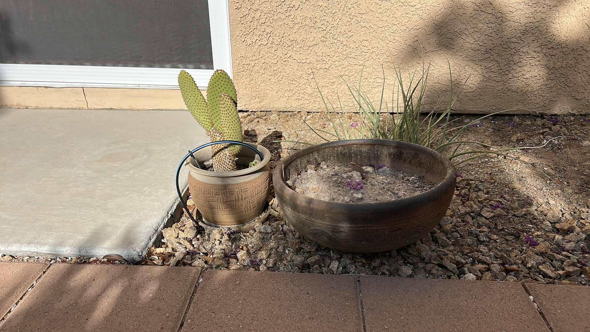 Photo 1 of 2 OUTDOOR POTS, ONE WITH LIVE CACTUS H14”