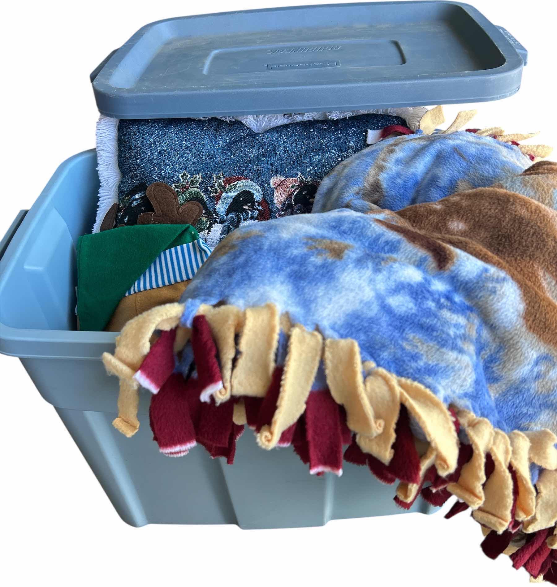 Photo 1 of TOTE WITH BLANKETS AND PILLOWS