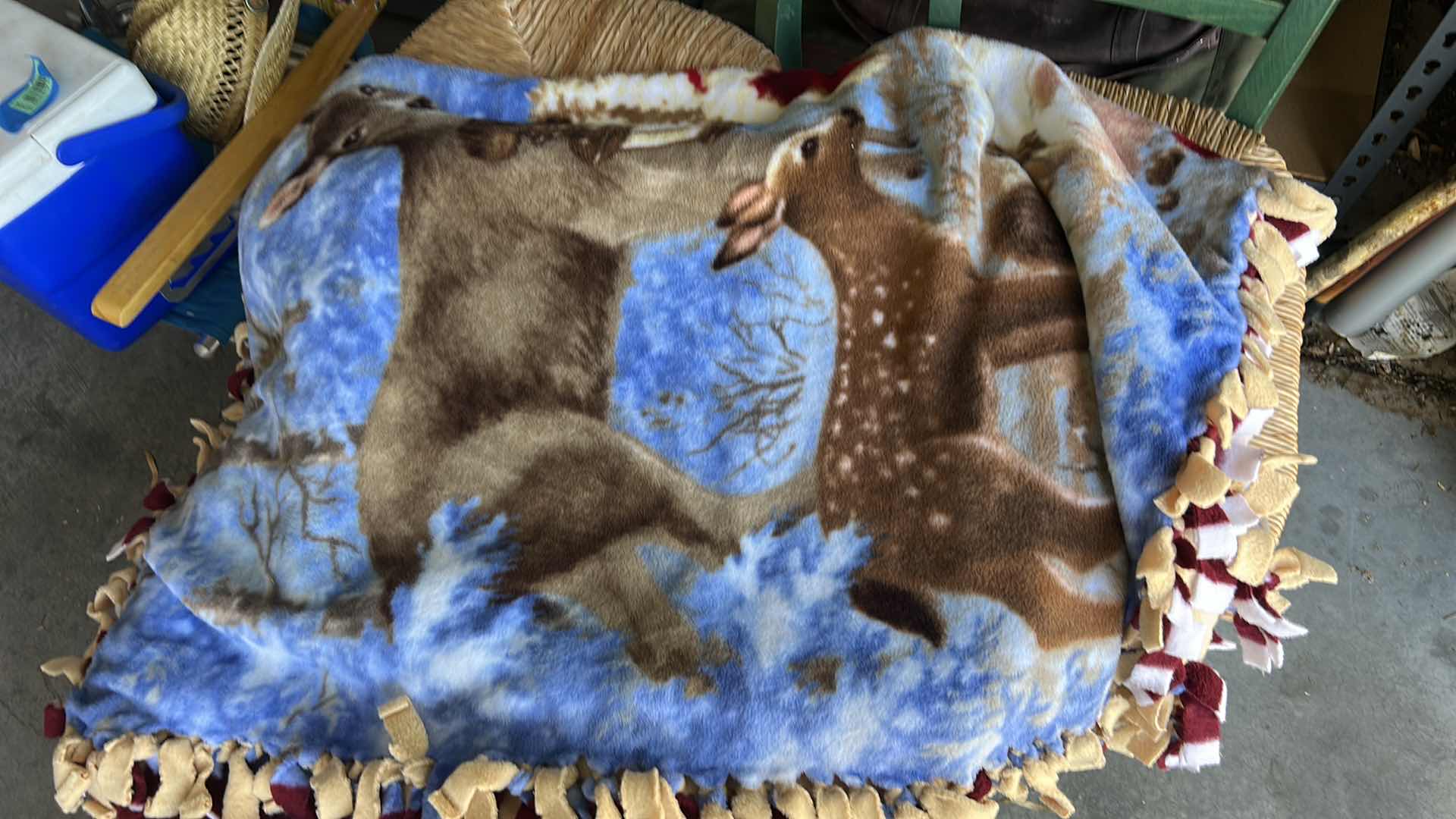 Photo 1 of TOTE WITH BLANKETS AND PILLOWS