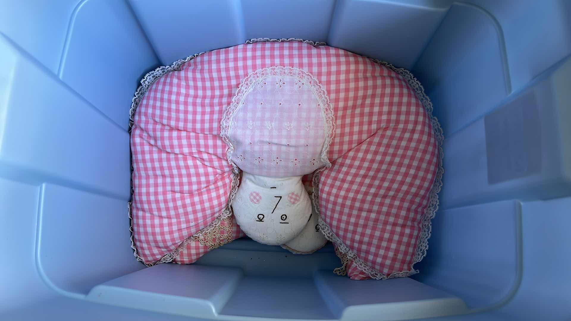 Photo 1 of TOTE WITH BLANKETS AND PILLOWS