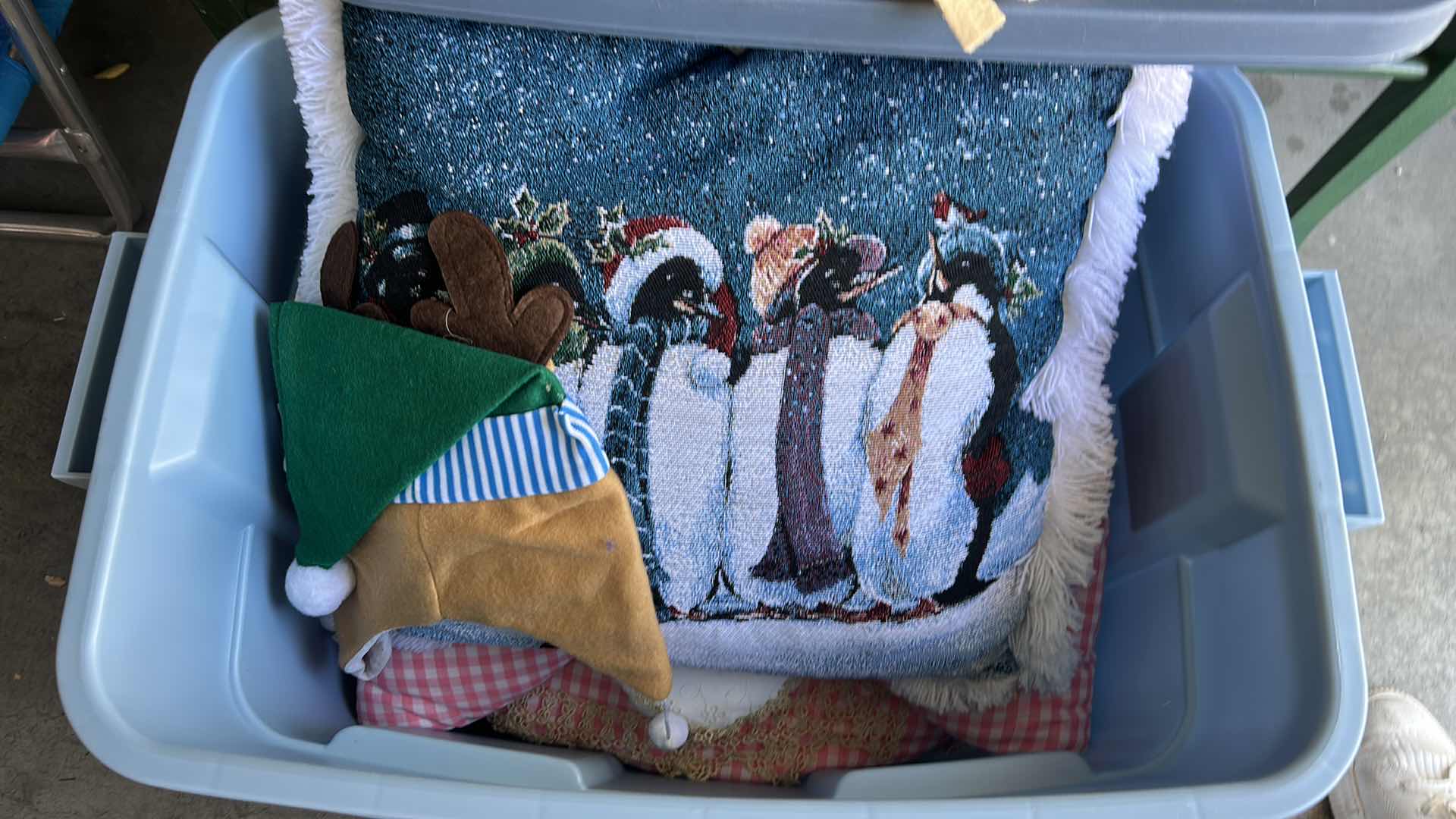 Photo 1 of TOTE WITH BLANKETS AND PILLOWS