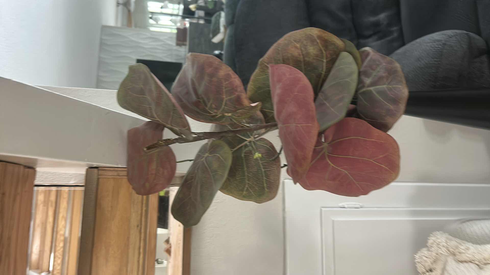 Photo 1 of TALL SLIM BLACK VASE H41”