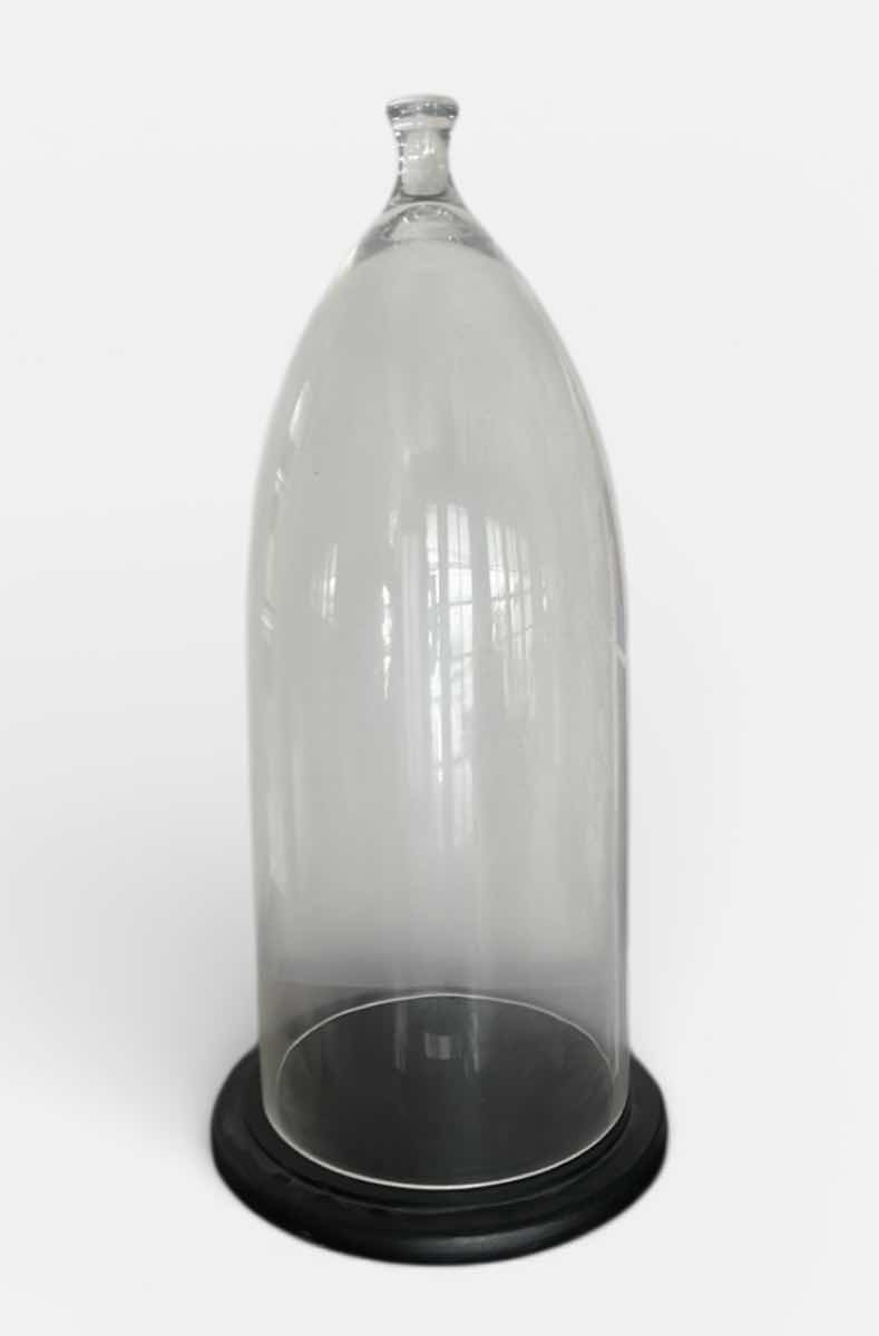 Photo 1 of GLASS DISPLAY CLOCHE WITH A BLACK BASE. H21 1/2”